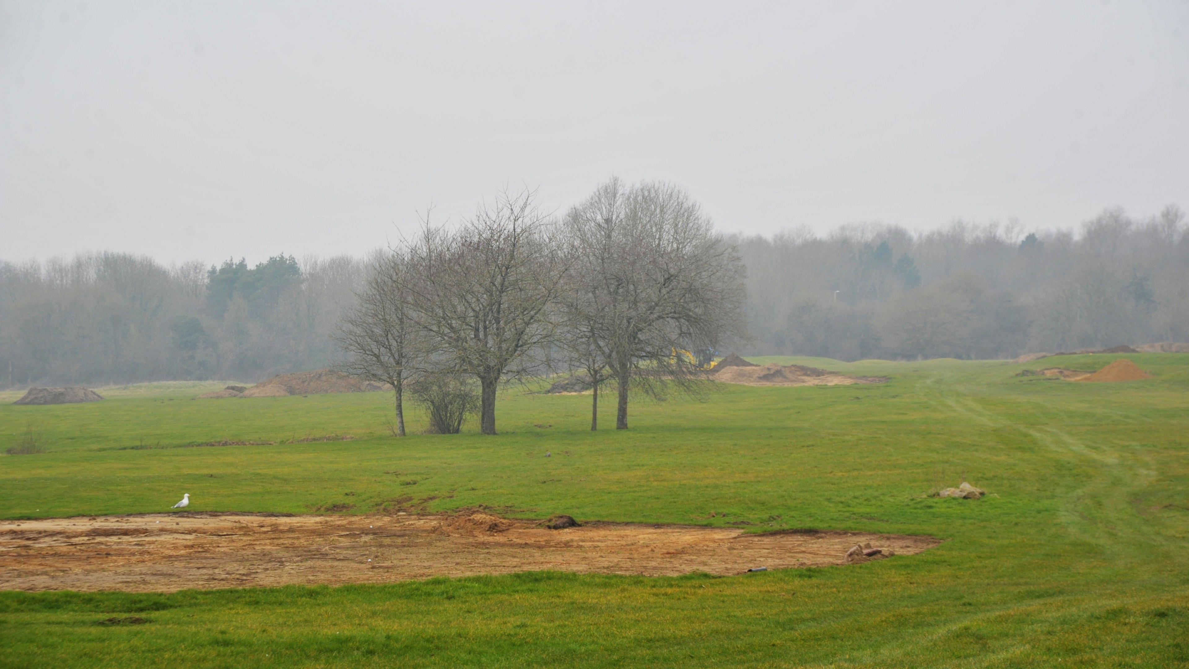 The large green open space of Marlborough Park, with some trees in the centre of the space and in the distance. 