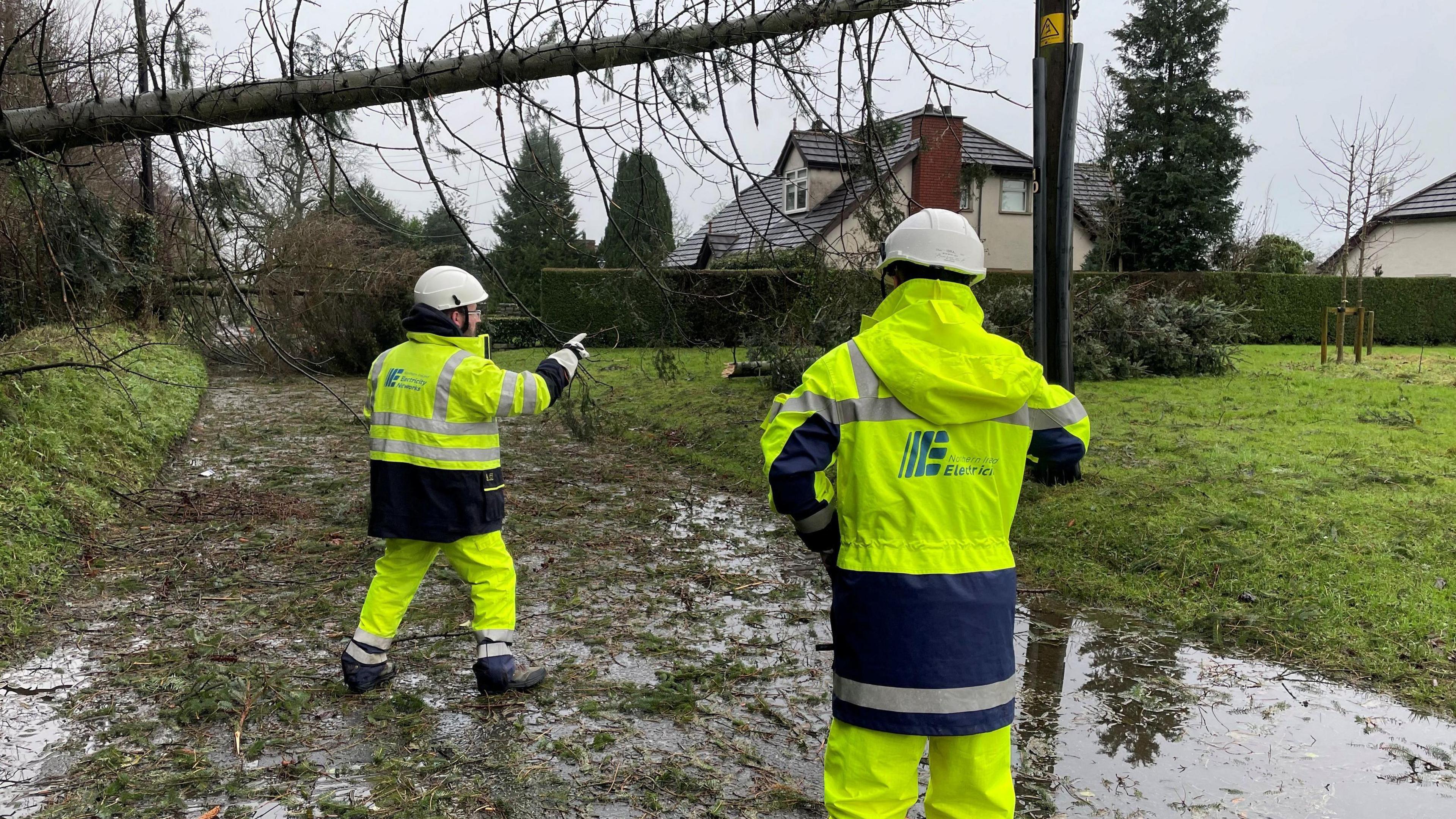 Electricity engineers in high visibility jackets inspect damage by fallen trees. The road is partially flooded and the tree is blocking the road. 