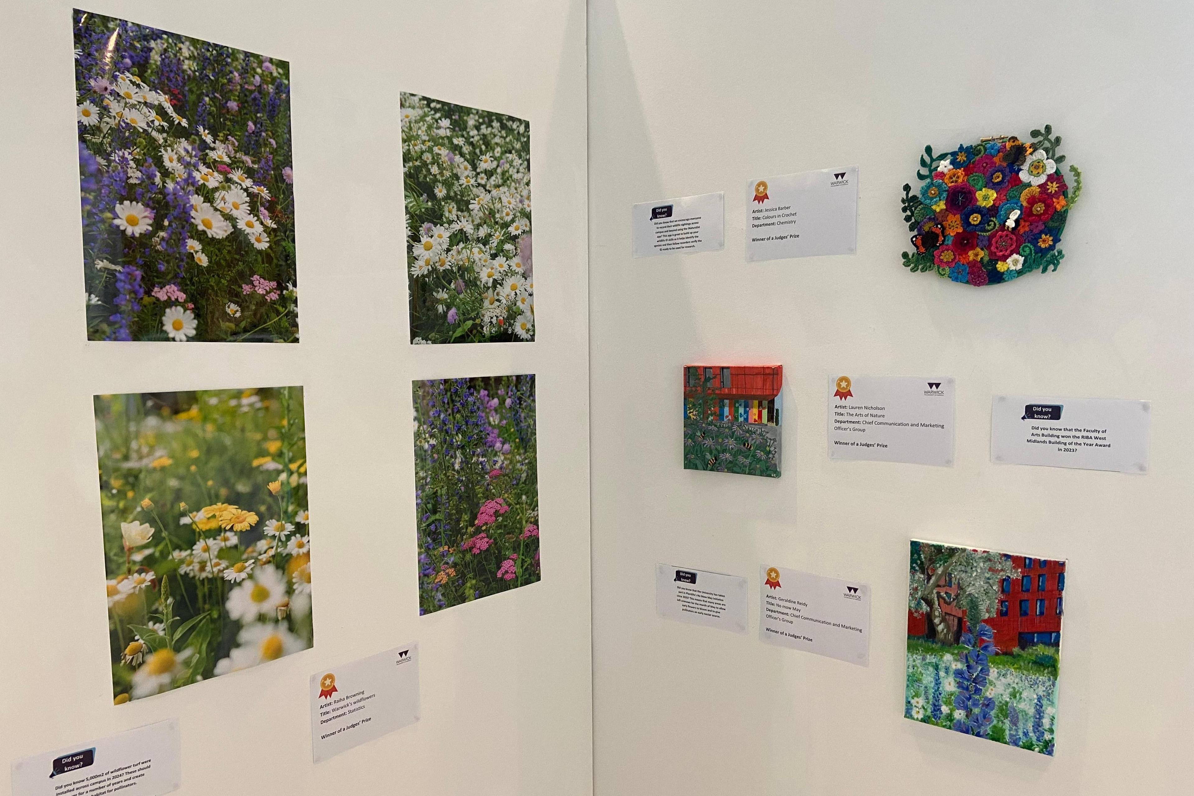 A series of pictures and artwork are pinned to two white boards. Four photos of wildflowers are on the board on the left. Three pieces of art are on the right, including a piece of crochet showing flowers. Small white pieces of card are also pinned up with details about the works and the artists.