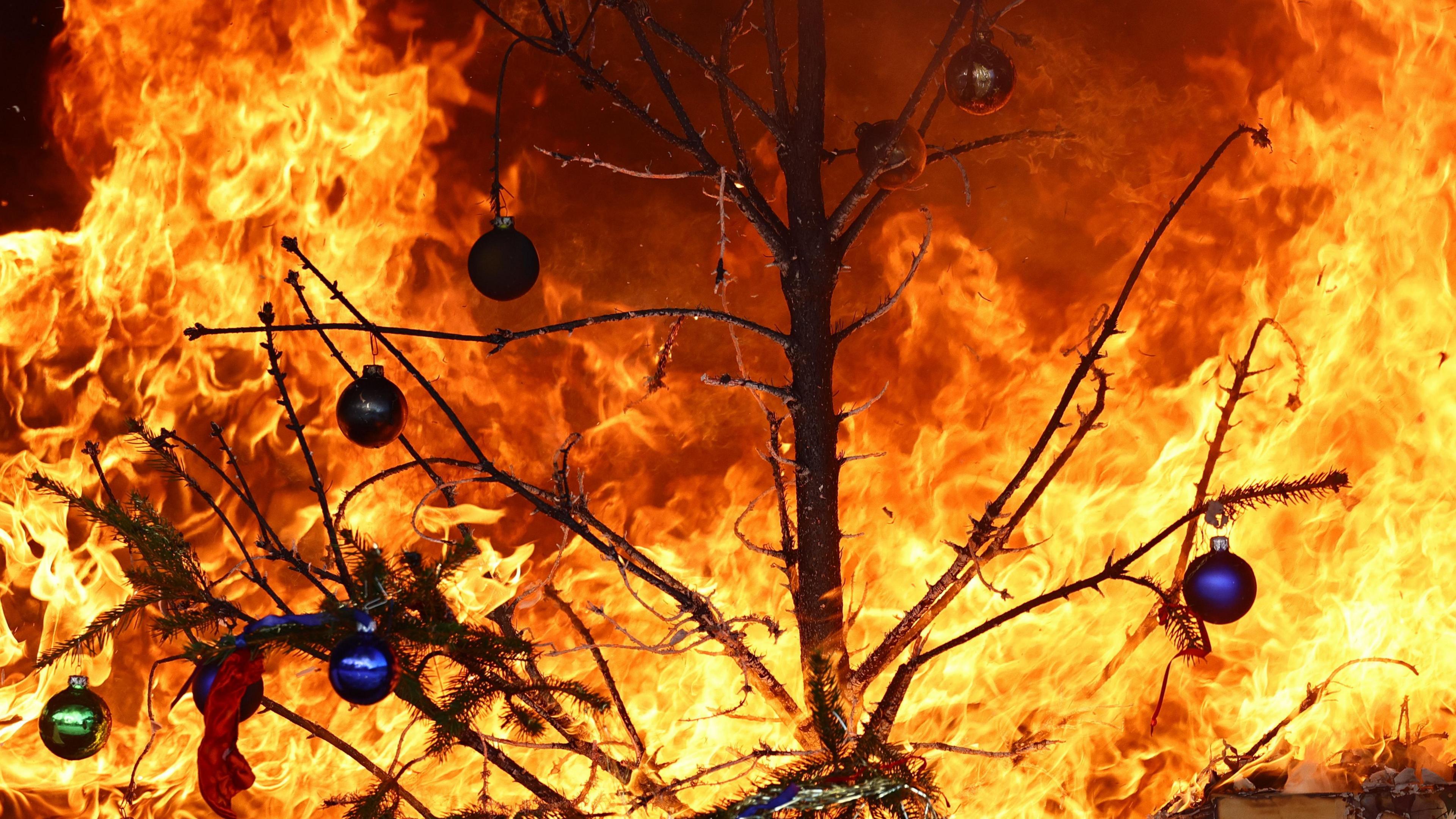 Flames engulf a Christmas tree.