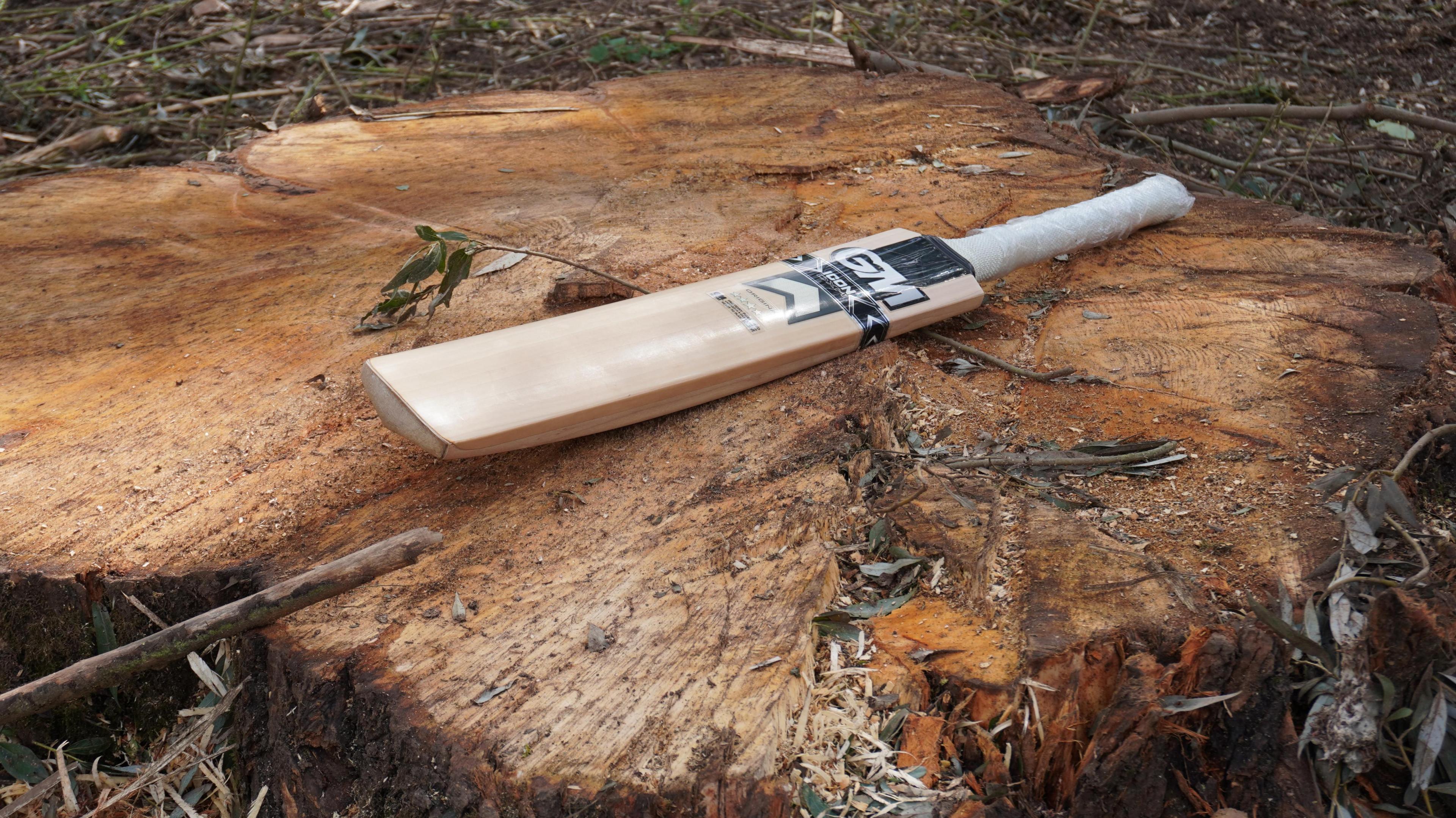 A cricket bat with a white handle and black branding laid out on a tree stump.