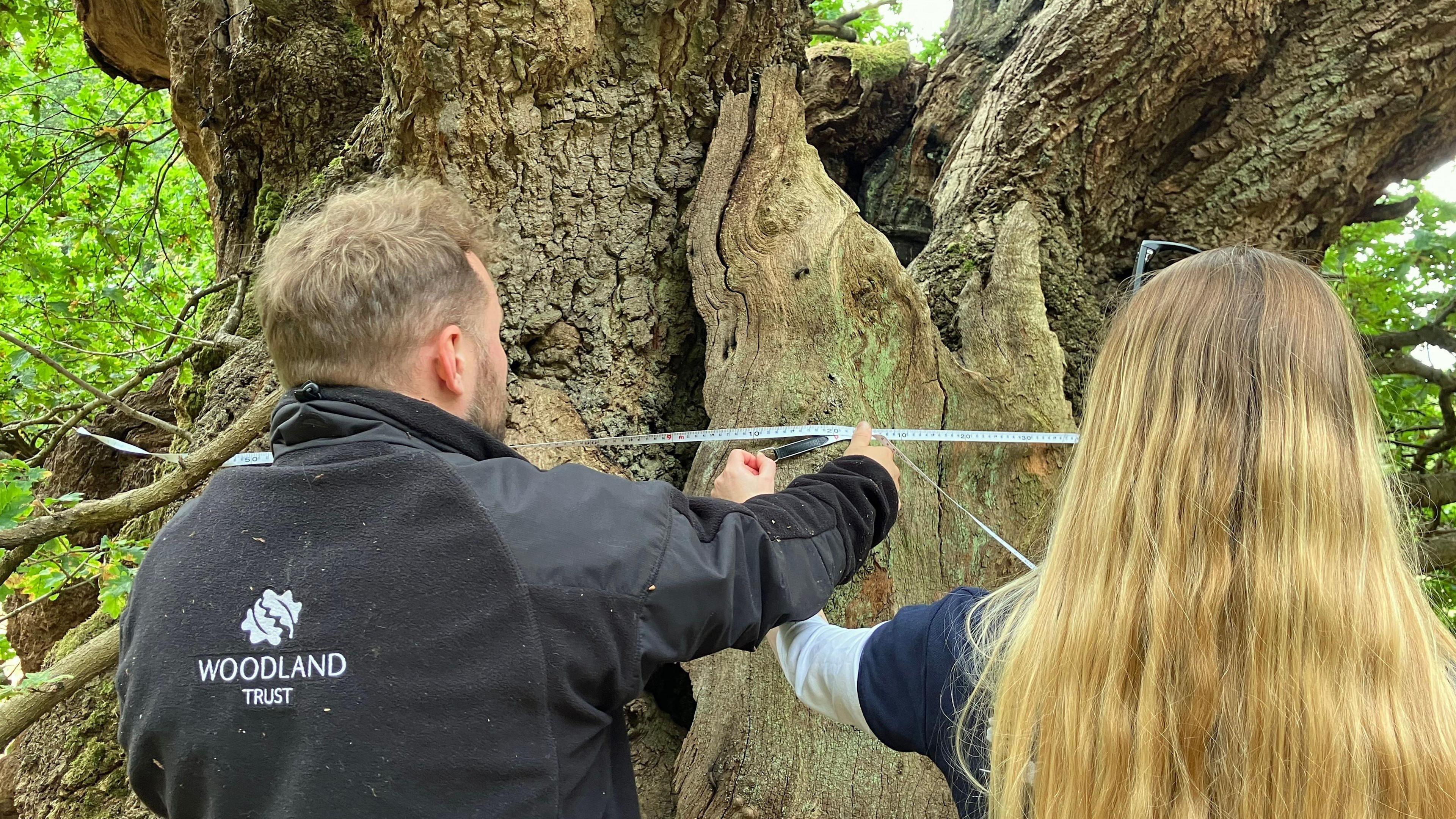 Two scientists stand next to the tree measuring its circumference and its widest point with a tape measure. On the left is a man with short hair wearing a black jacket. On the right is a woman with long hair.