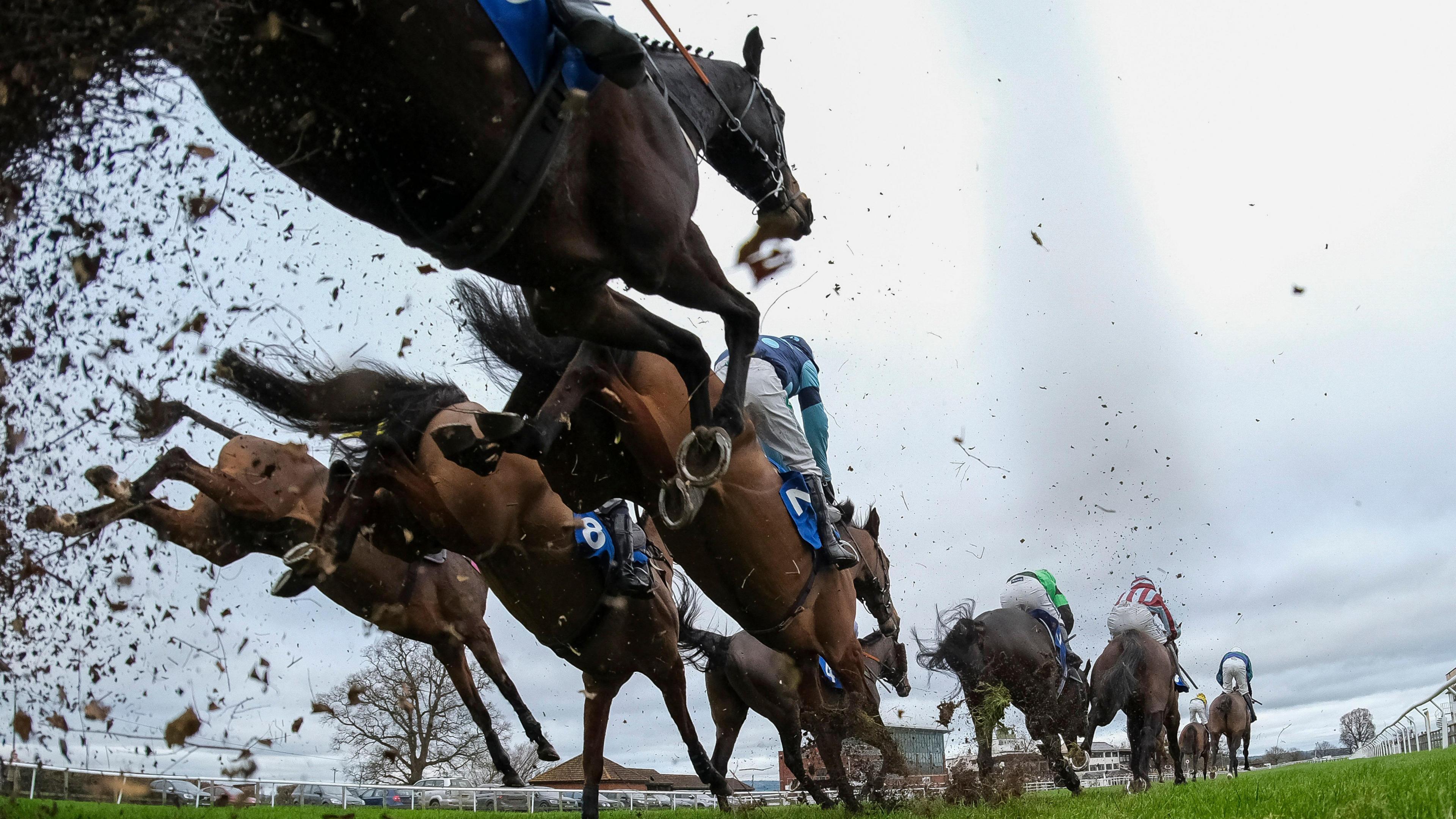 Horseriders competing at The Racing TV Novices' Handicap Chase in Taunton. The photo is taken from the ground, looking up as four horses jump over a hurdle. Others are further ahead in the race.