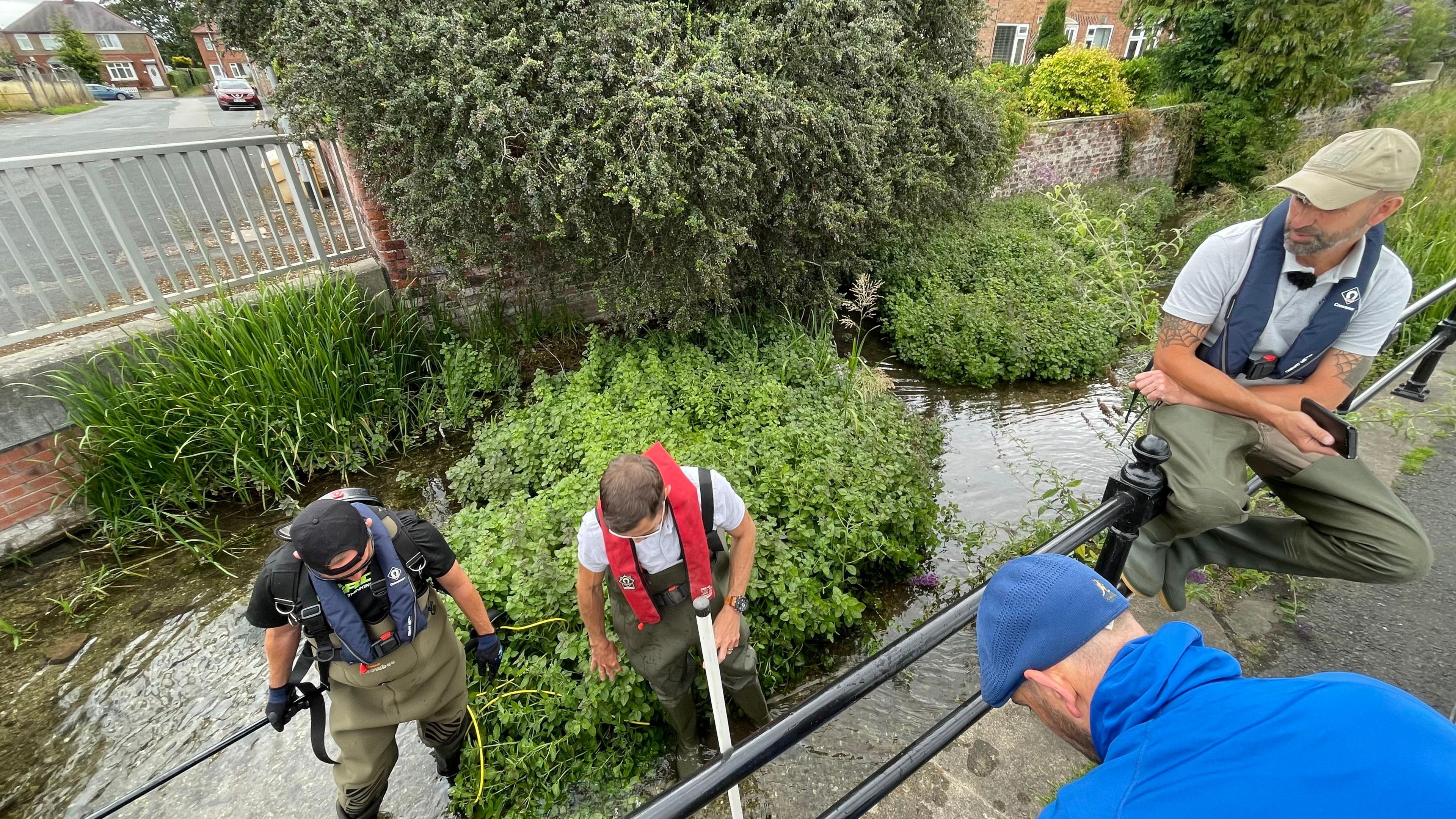 Four men carrying out the rescue of the fish.