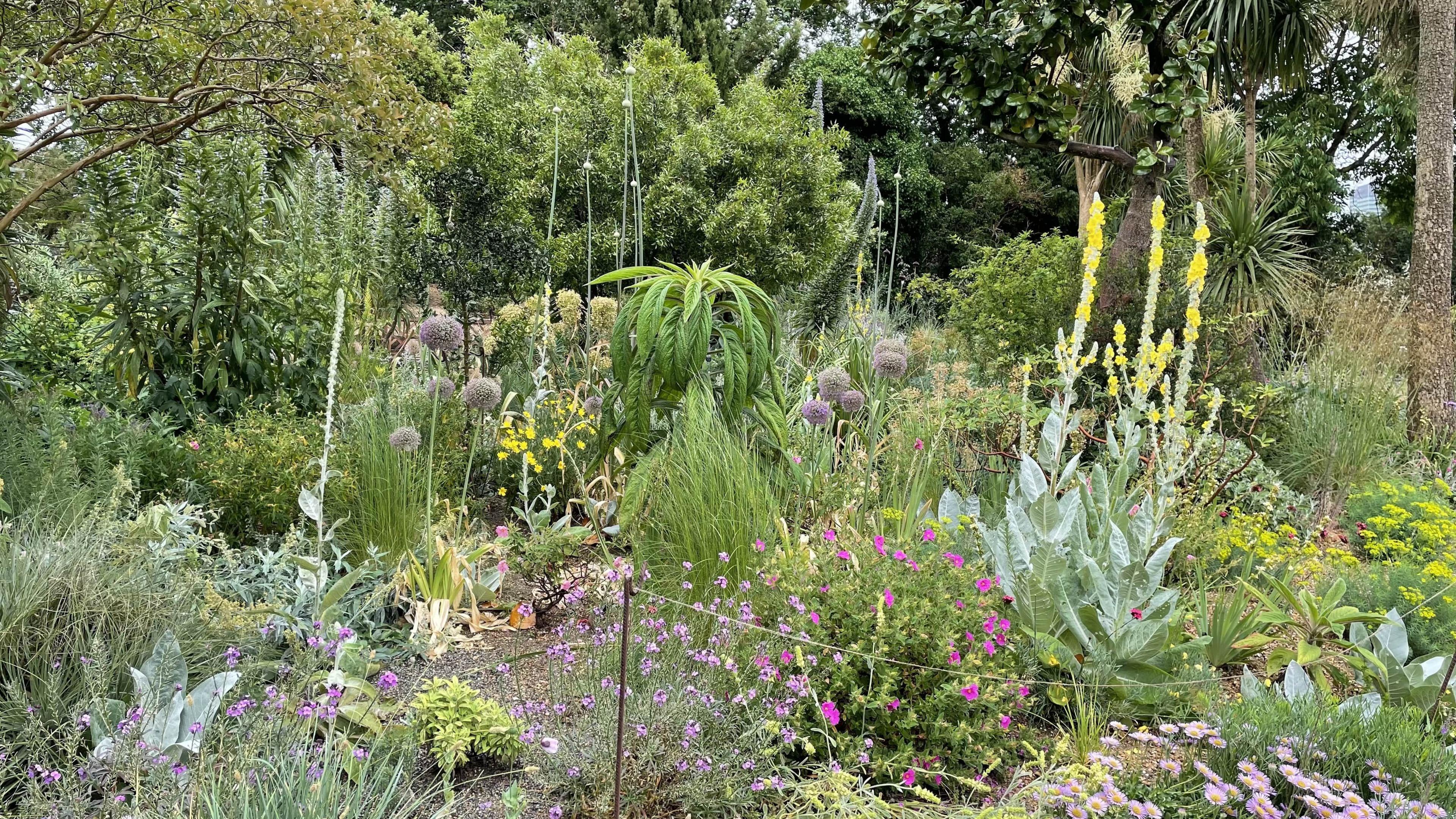 An image of a garden featuring large trees and colourful flowers.