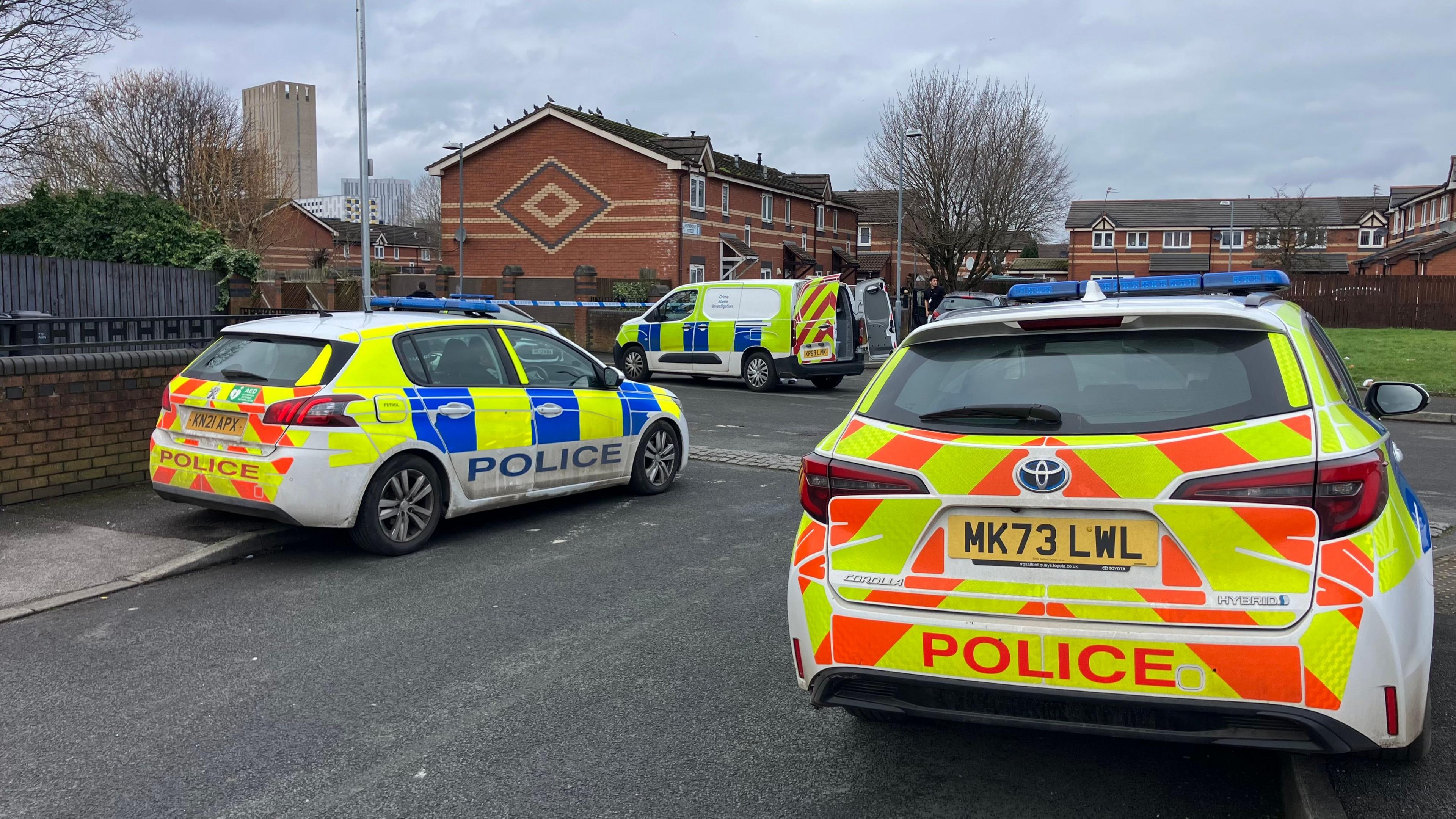Two police cars and one police van can be seen on the road, where houses can also be seen.