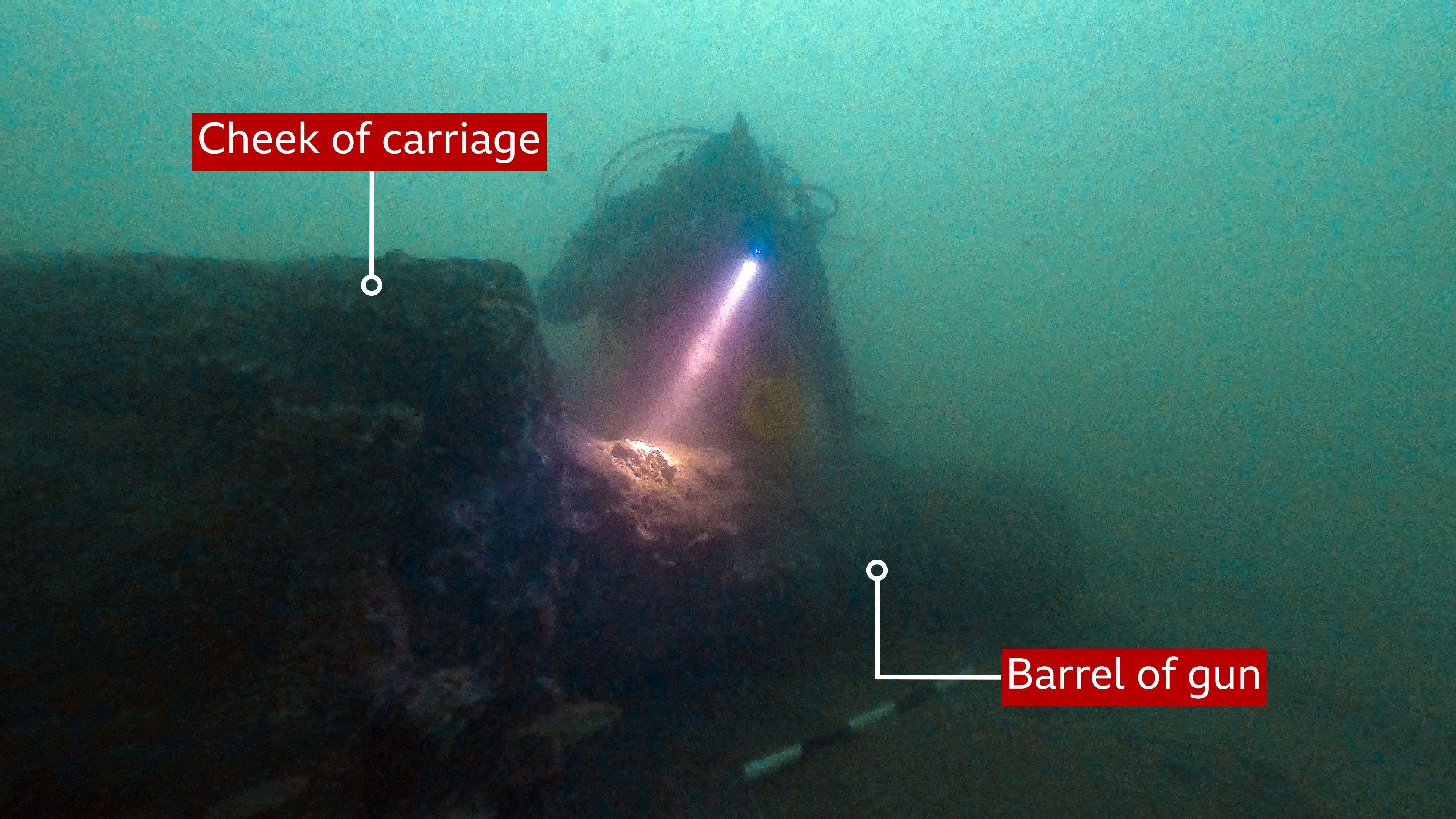 A scuba diver in a black wetsuit examines a long and thin item underwater. The wider, leftmost part of the item is labelled as 'cheek of carriage' while the right-most part of the object is labelled 'barrel of gun'.