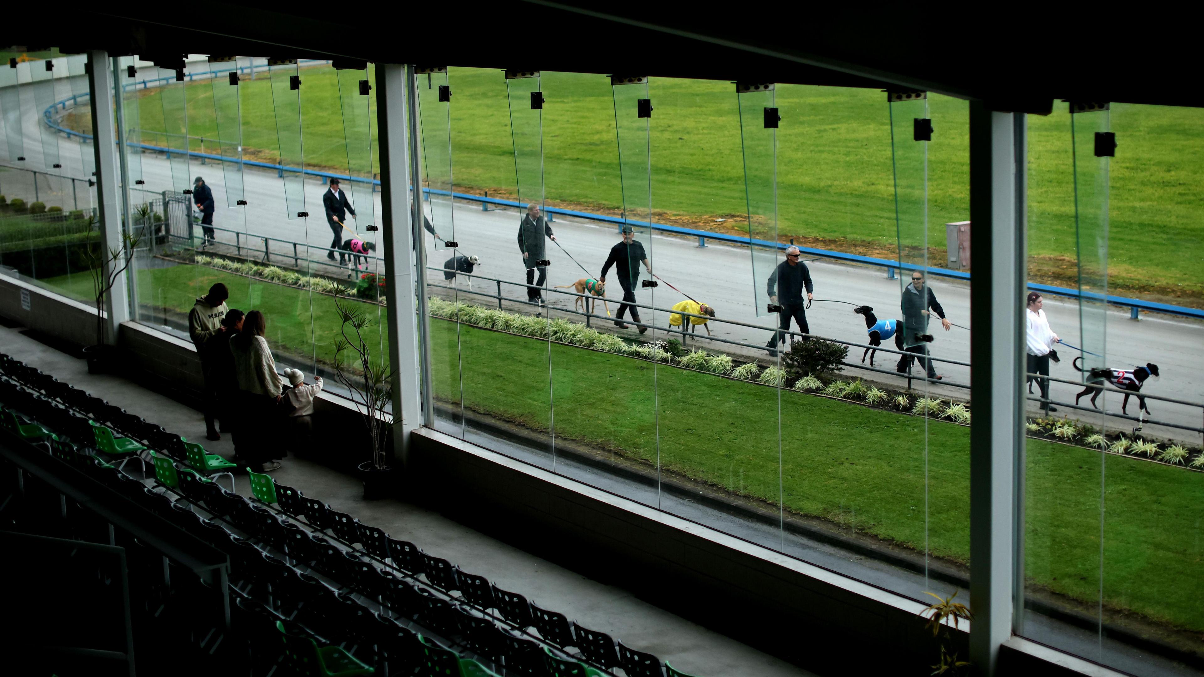 Owners and trainers with their greyhounds at the Manukau Stadium during the Stars of Manukau 2000 - 2010 race meeting on June 21, 2026 in Auckland, New Zealand. Commercial greyhound racing is ending in New Zealand and will be officially banned from August 1, 2026 due to animal welfare concerns. 
