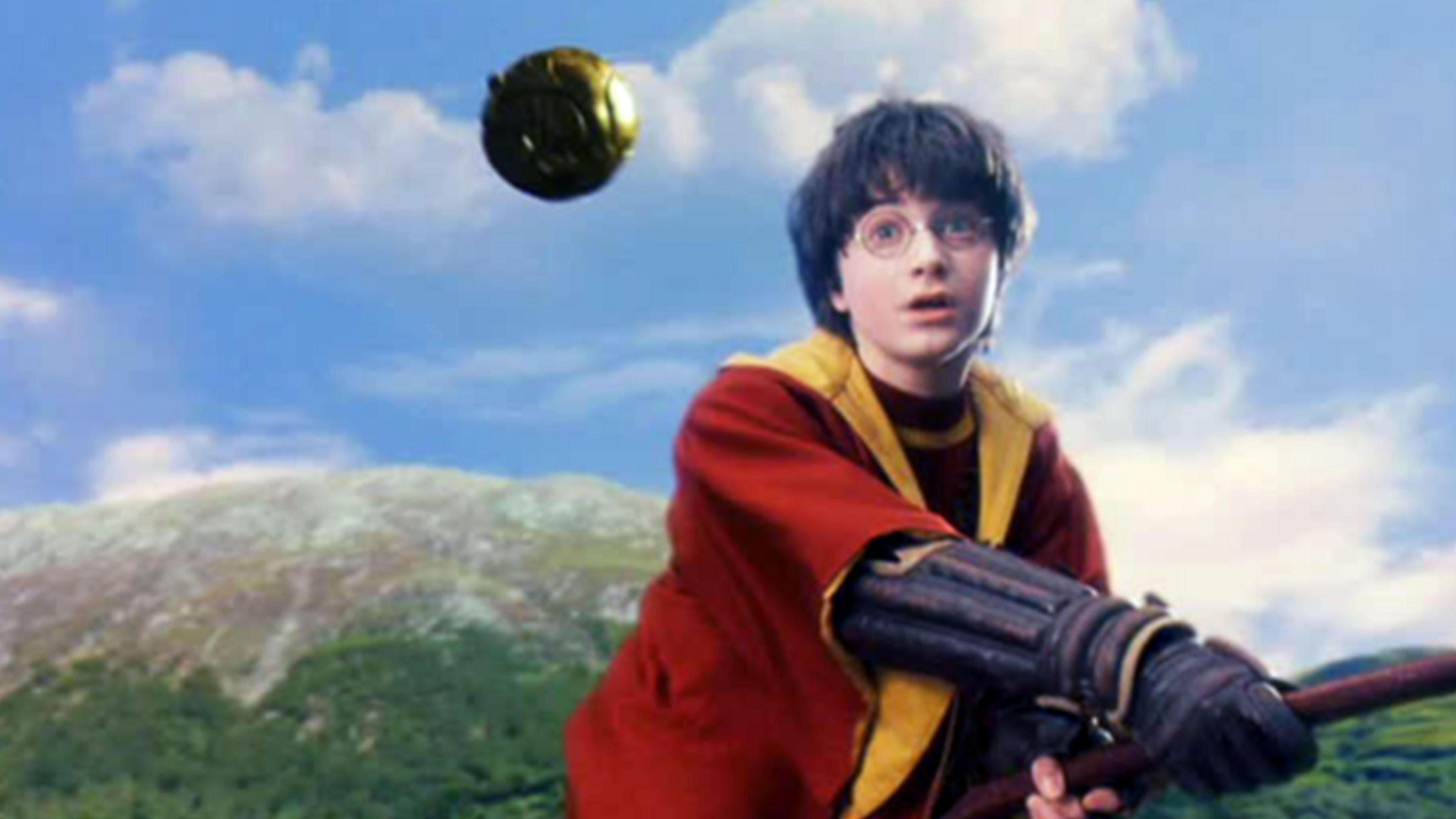 A young bespectacled boy with black hair sits on a broom. He looks at a small, golden ball flying in front of him in surprise. A mountain and trees can be seen in the background.