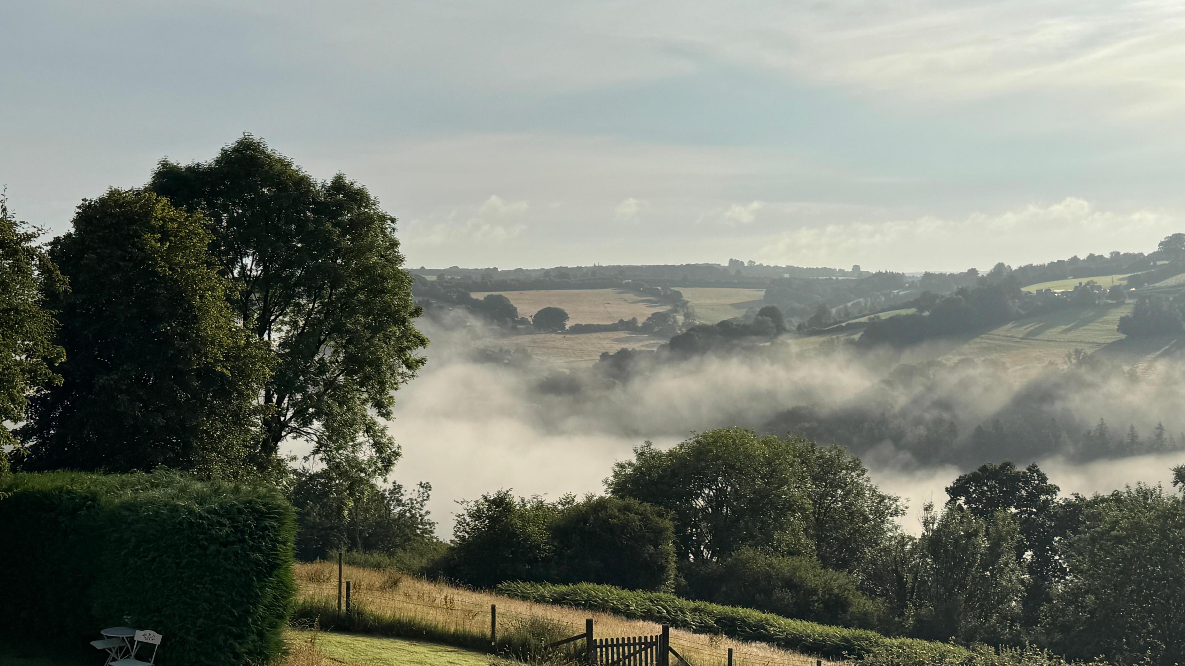 Fog is rising from a valley seen from atop a hill. It is sunny.