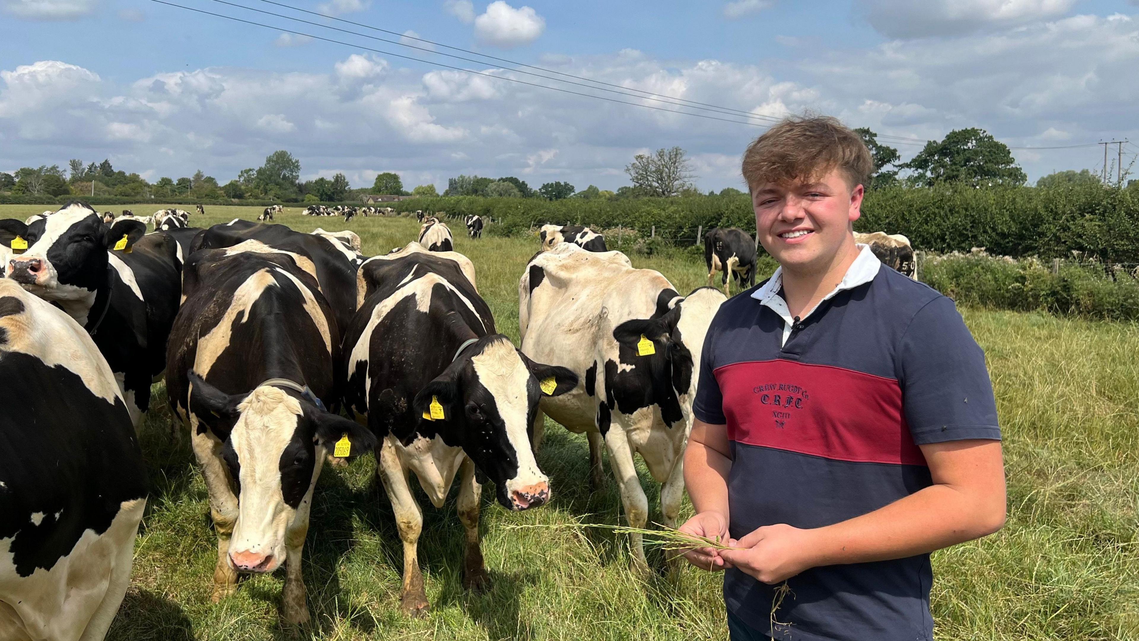 Sam Woolford is standing in afield next to a herd of Friesian cows. He is smiling and holding a handful of grass while wearing a blue and red striped rugby shirt