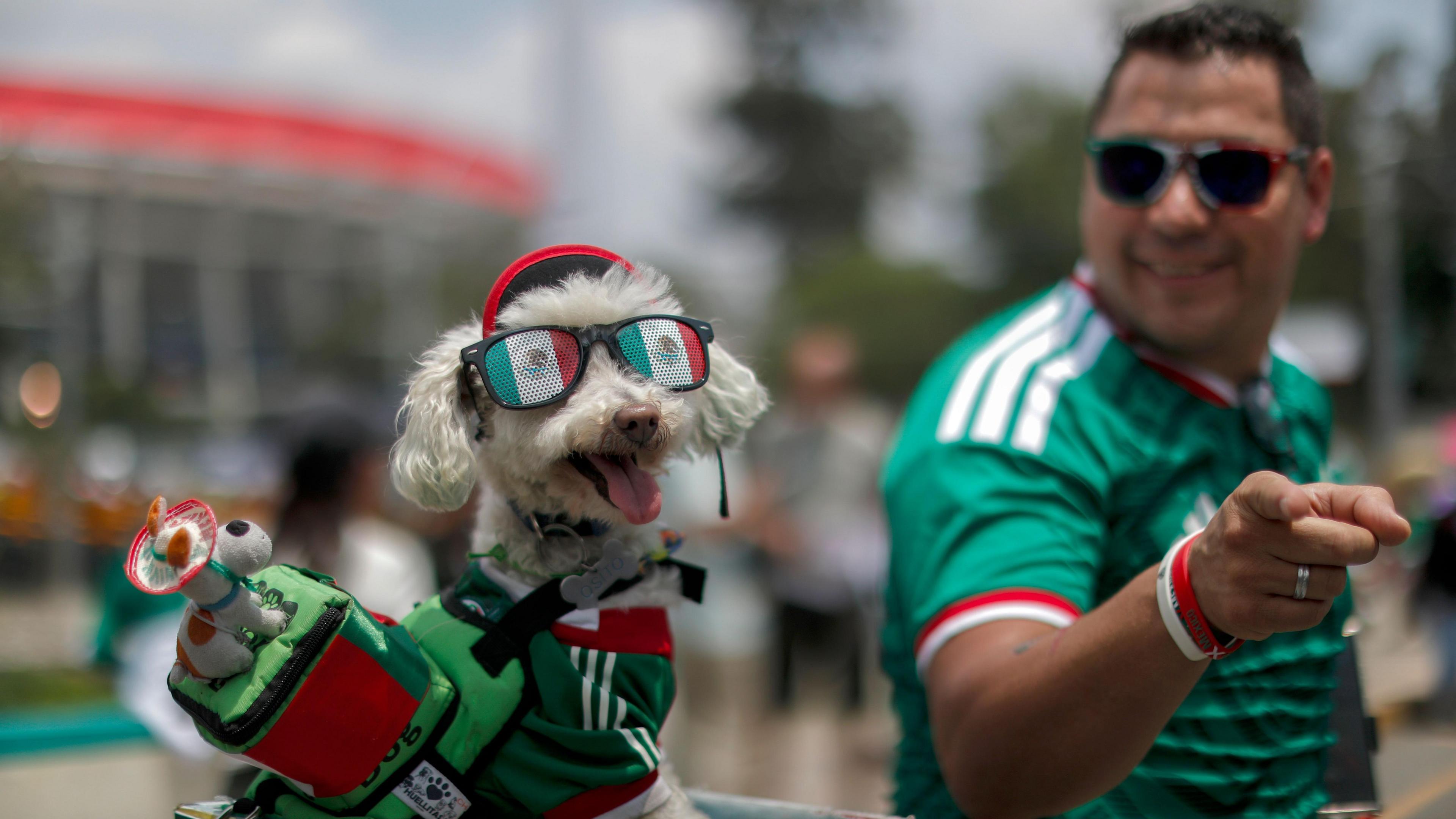 A Mexico fan with his smiling dog, also dressed up in a Mexico kit.