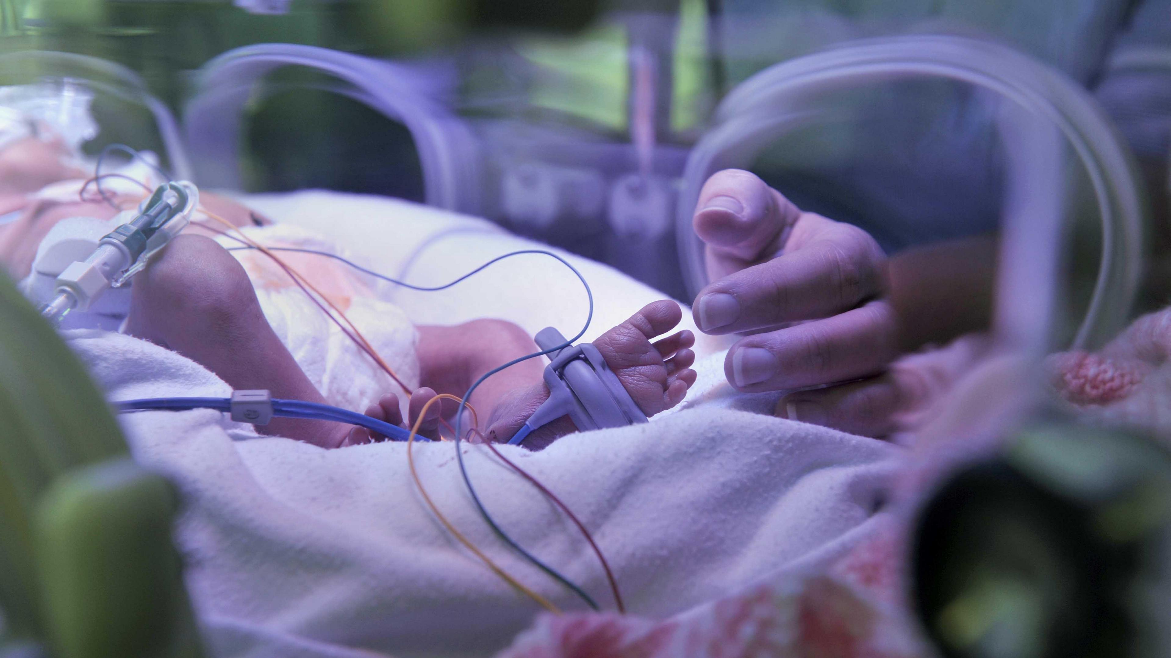 A baby in an incubator 