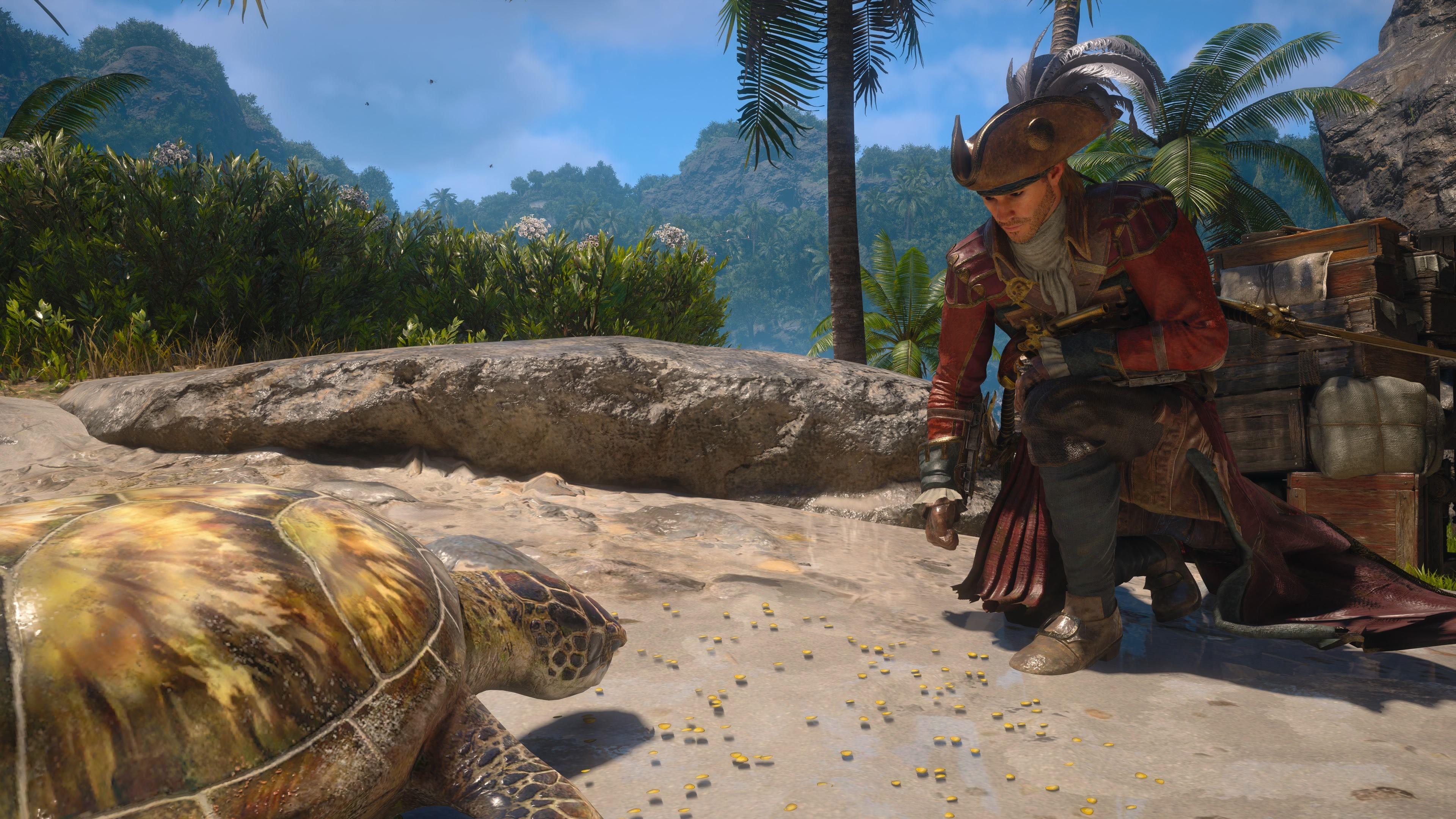 A screenshot from the new game. On the right, the main character dressed in full pirate garb kneels on a rock. He is feeding something to a turtle. In the background we see gorgeous blue skies and palm trees befitting of a tropical scene.
