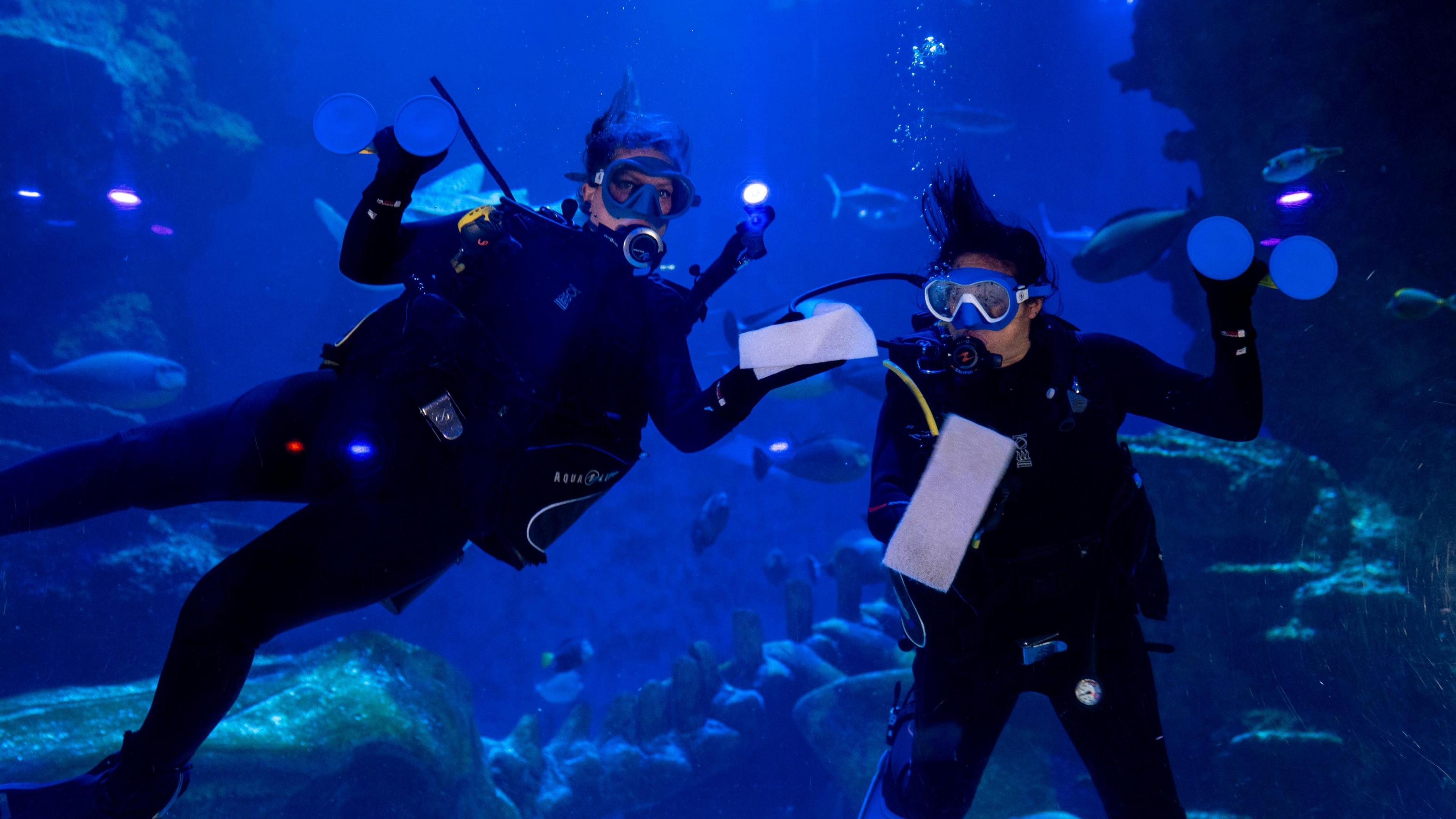 Two aquarists wearing wetsuits posing for the camera in a tank.