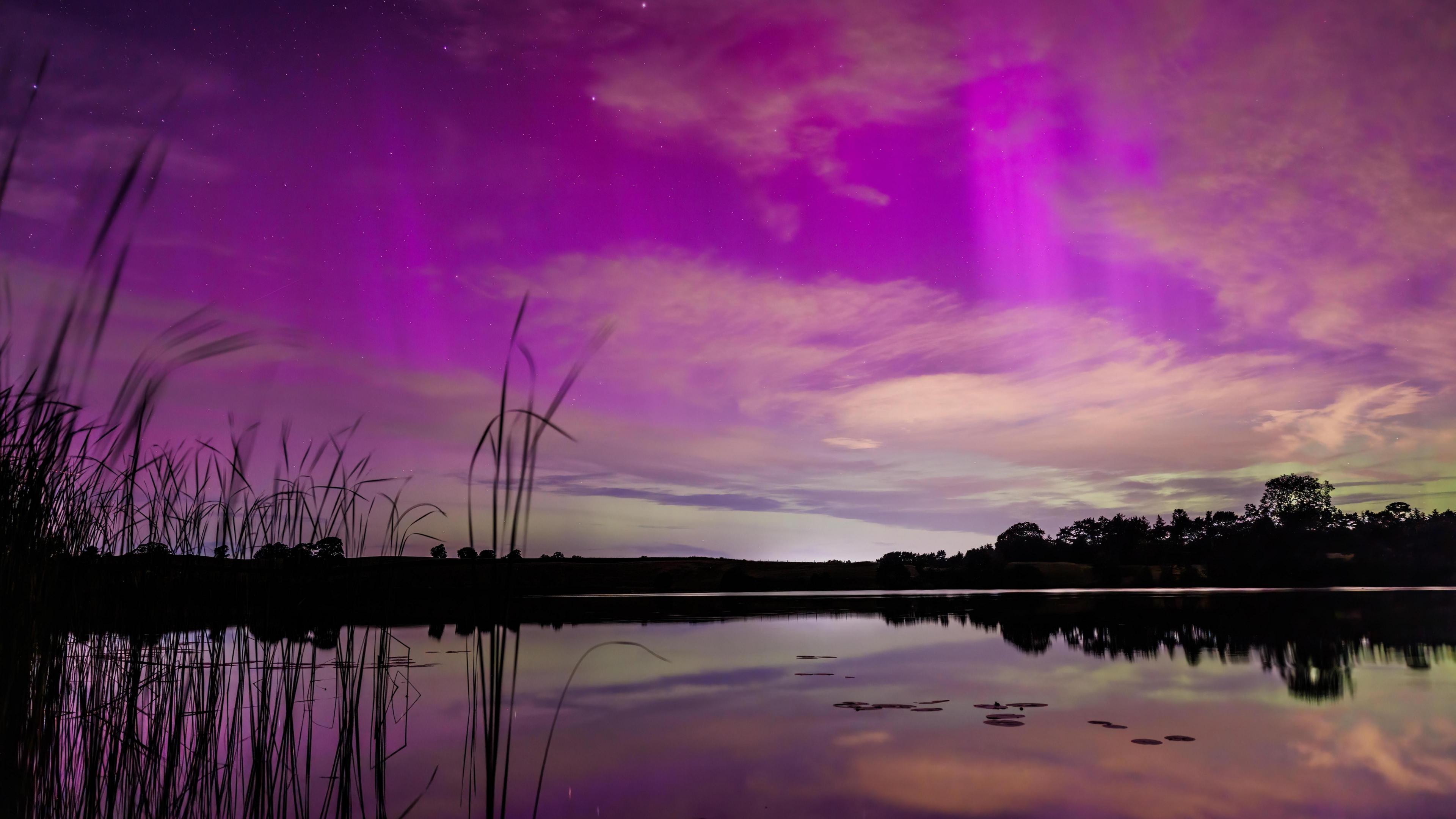 view of a body of water with some reeds coming out of the water in the foreground.  The night sky filled with the northern lights comprised mostly of purple colours with a hint of green towards the horizon.  The night sky is reflected on the body of water