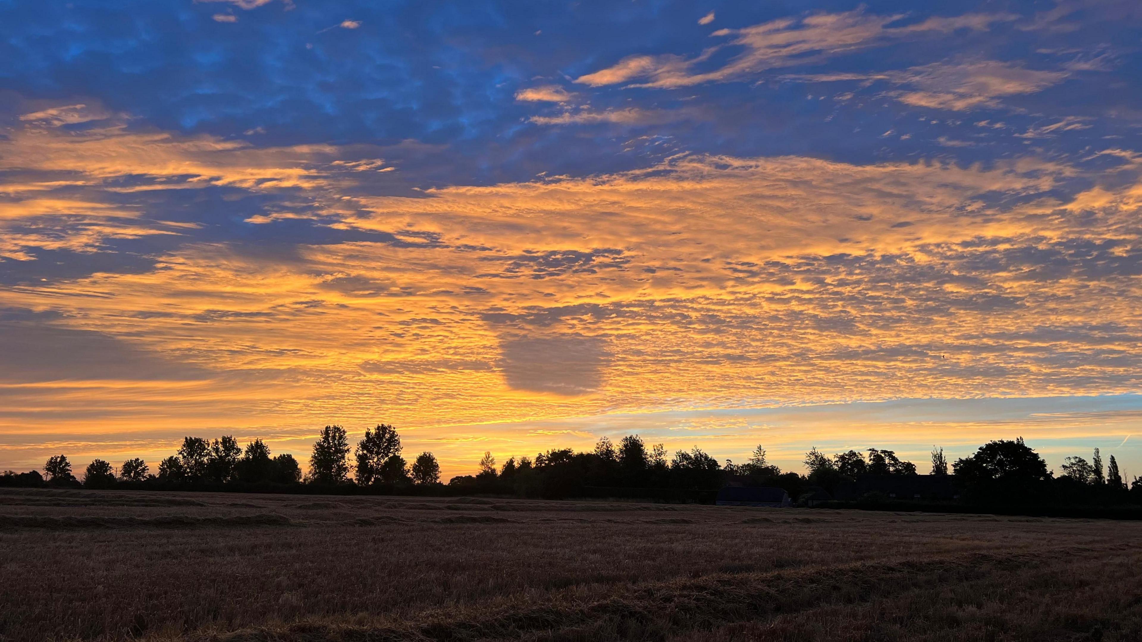 The sky is lit up with a golden sunrise with the clouds reflecting the sunlight. The trees are silhouetted on the horizon and the field in the foreground of the picture appears to be glowing