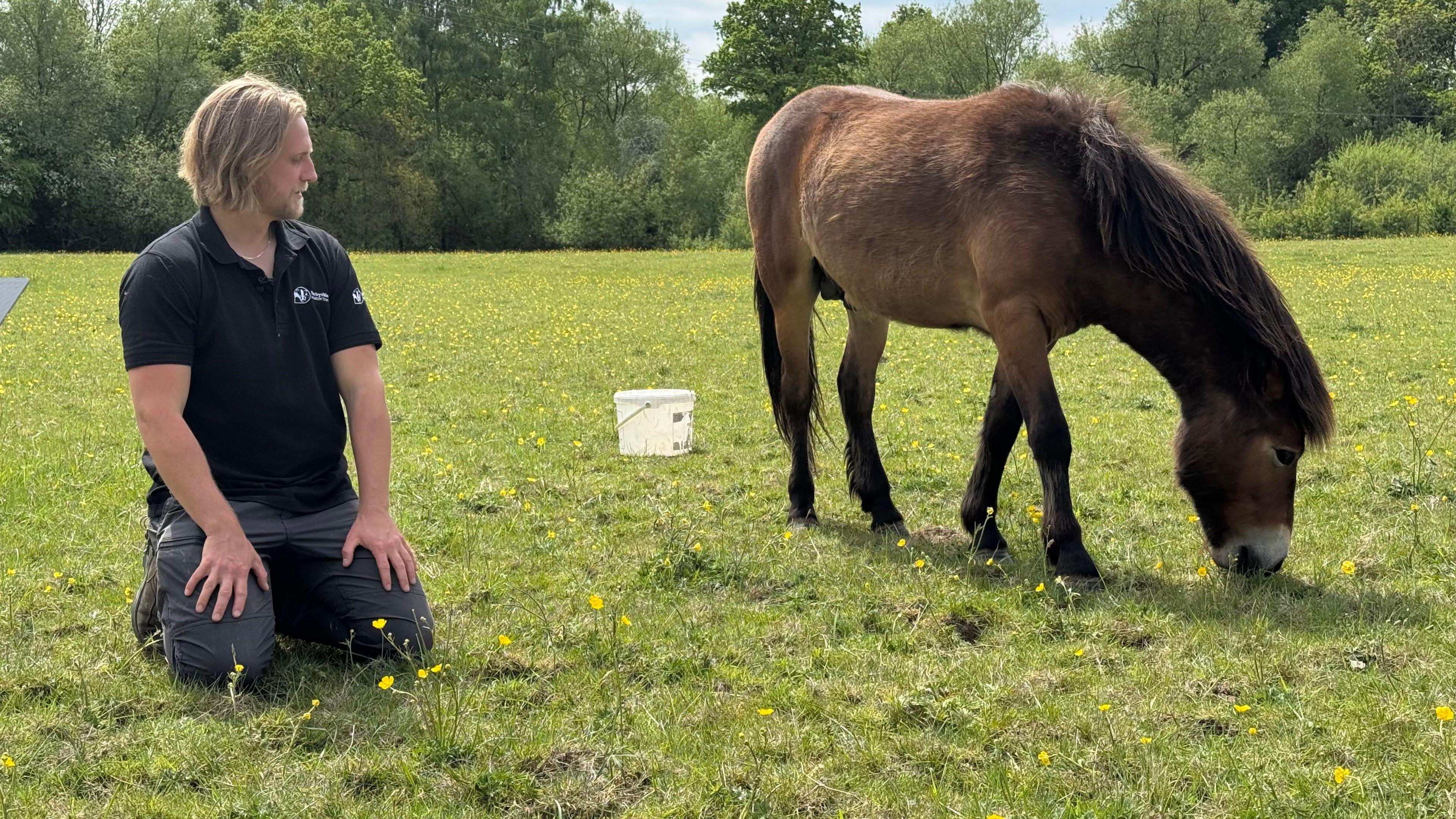 Alex Fisher in a black t-shirt kneels beside a grazing Exmoor pony