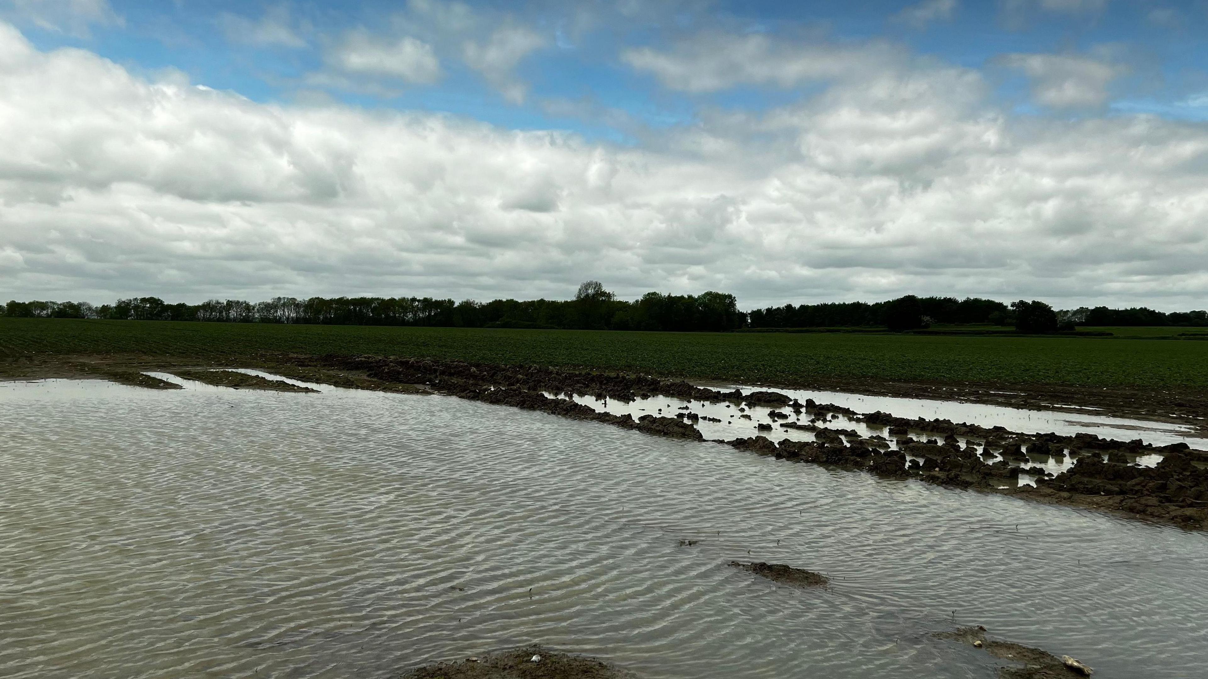 Flood on a farm 