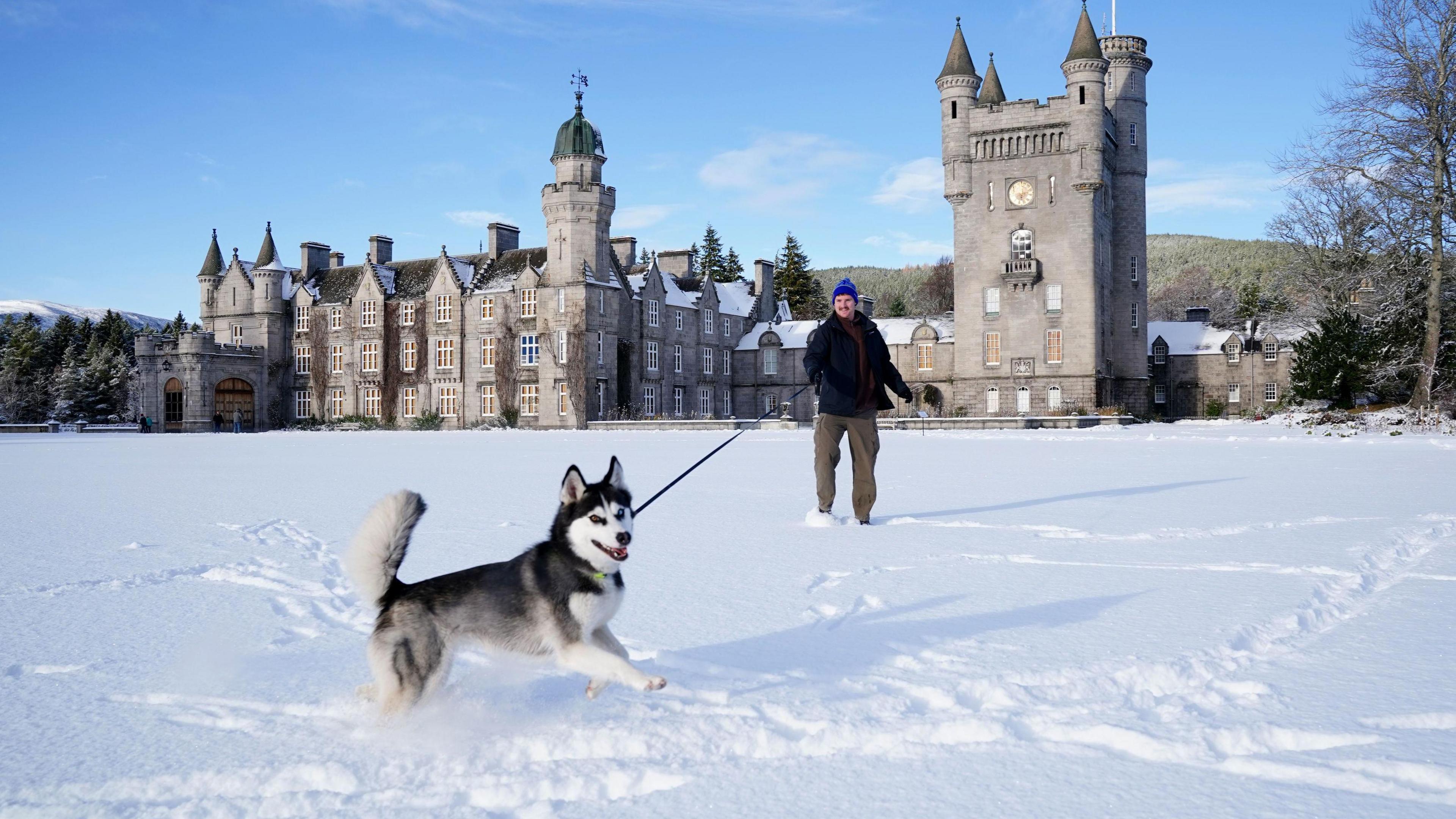 A dog jumping through several inches of snow, it is on a lead being held by a man who is a few metres away. A castle is visible in the background.