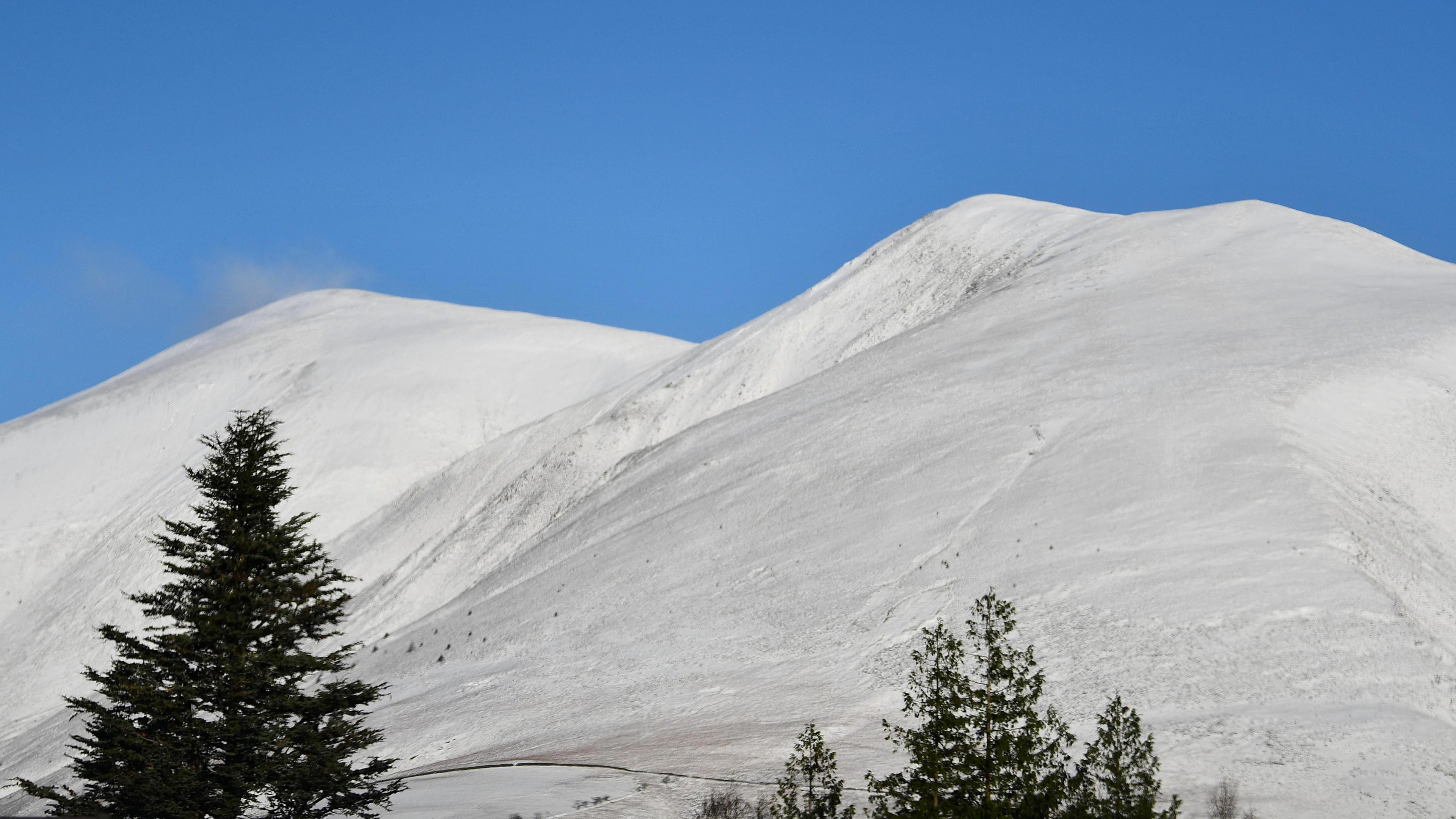 View over Lake District fells near Keswick. The fells are covered in snow, with a green pine tree in the foreground.