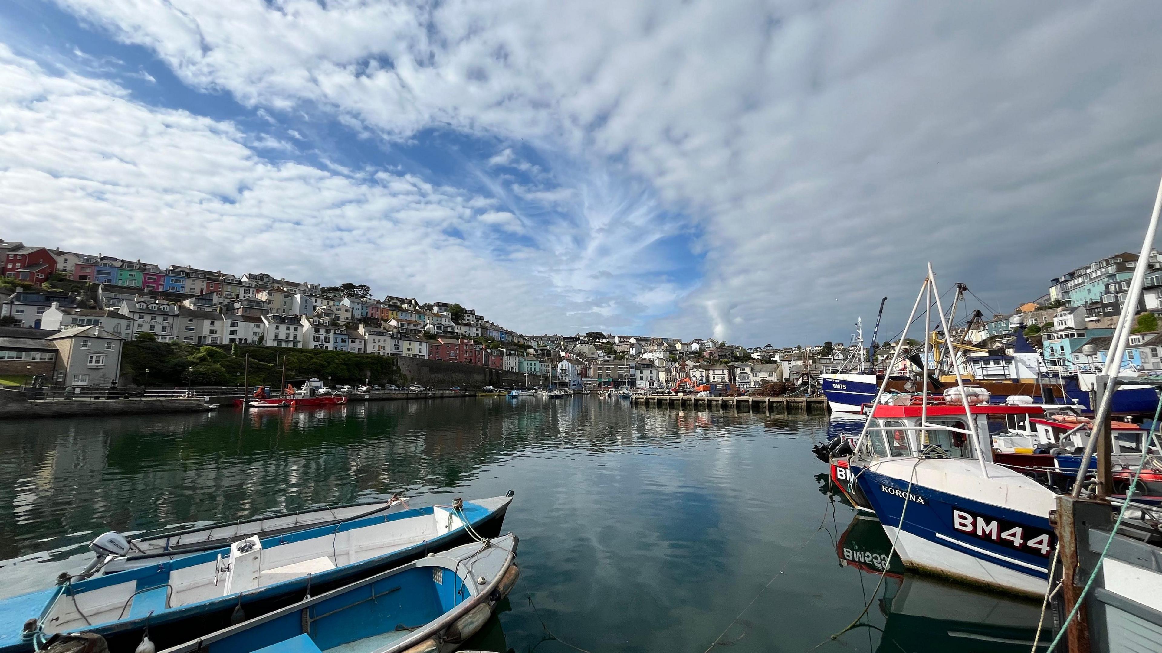 Fishing and rowing boats in a Devon harbour, with rows of houses on hills behind.