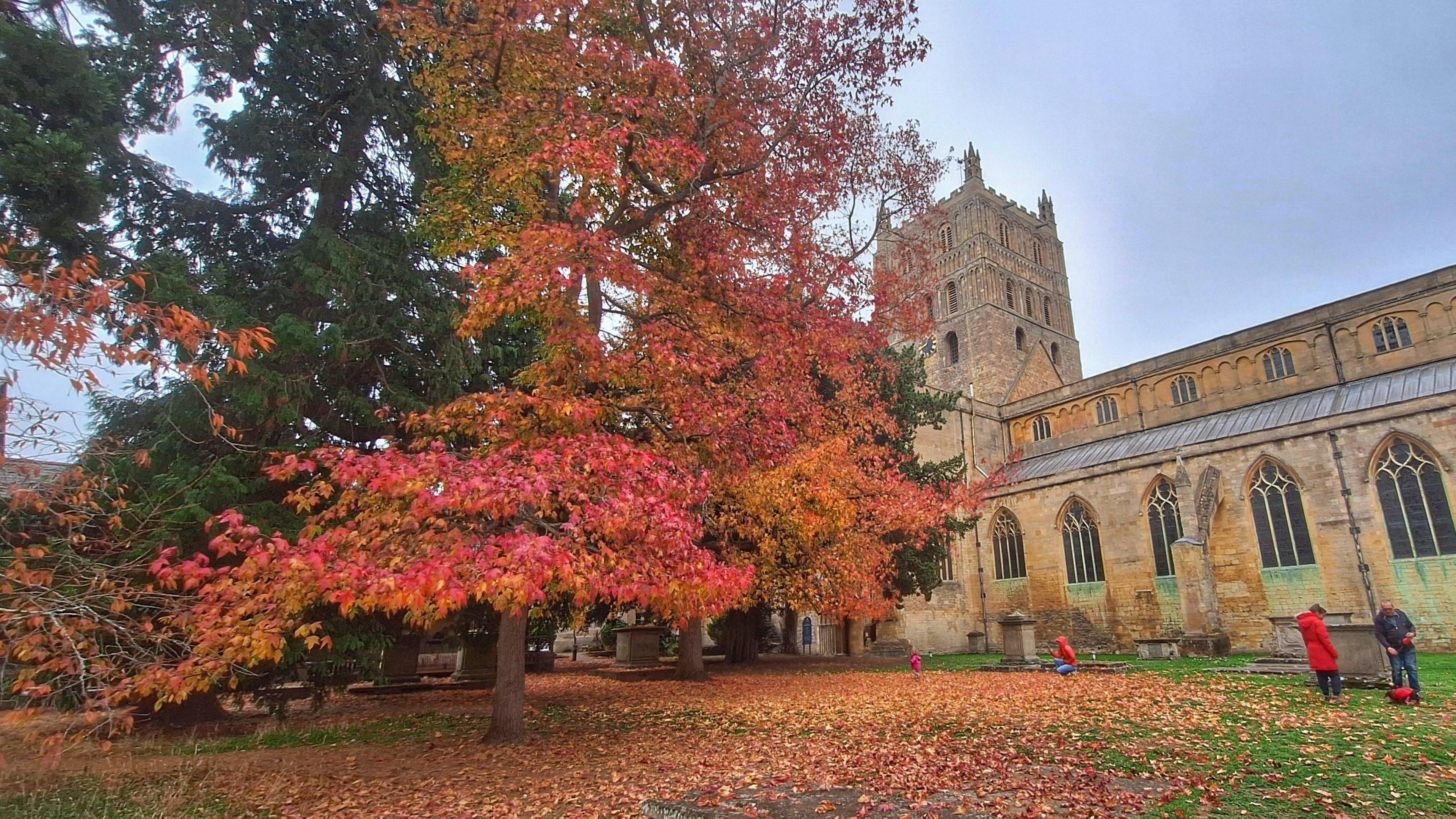 A bright red tree stands beneath the autumn cloud at the foot of Tewkesbury Abbey. There are brown and red leaves covering the grass as people walk around outside.