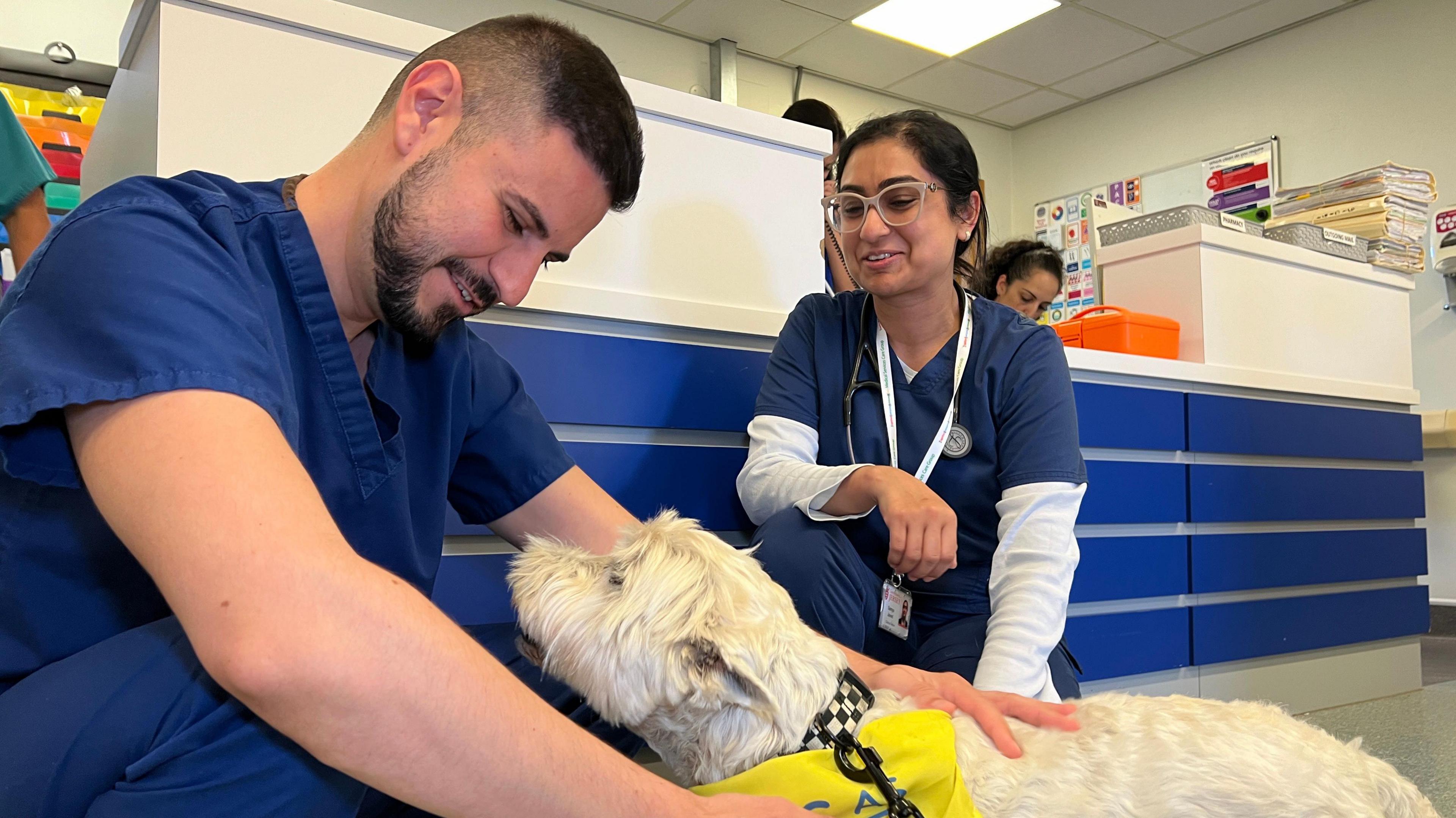 Two members of staff at the hospital bend down to pet Frankie who looks up at them