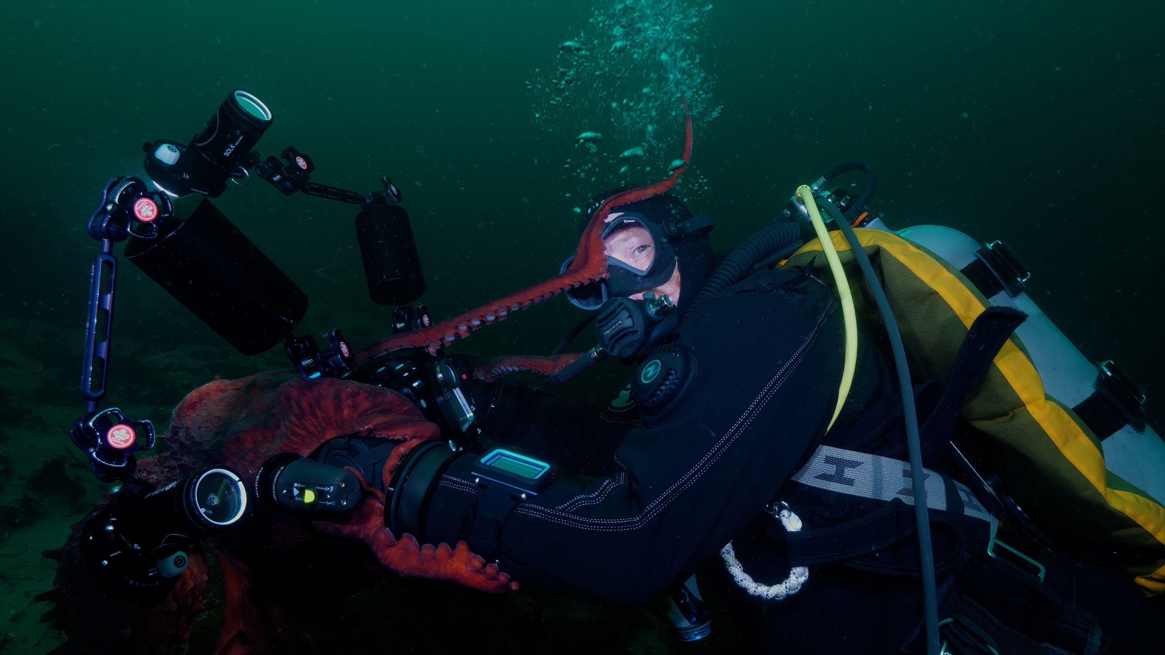 Diver and videographer Chris Mullen is embraced by the octopus. There is a tentacle on Chris' diving mask and Chris is looking towards the camera. 