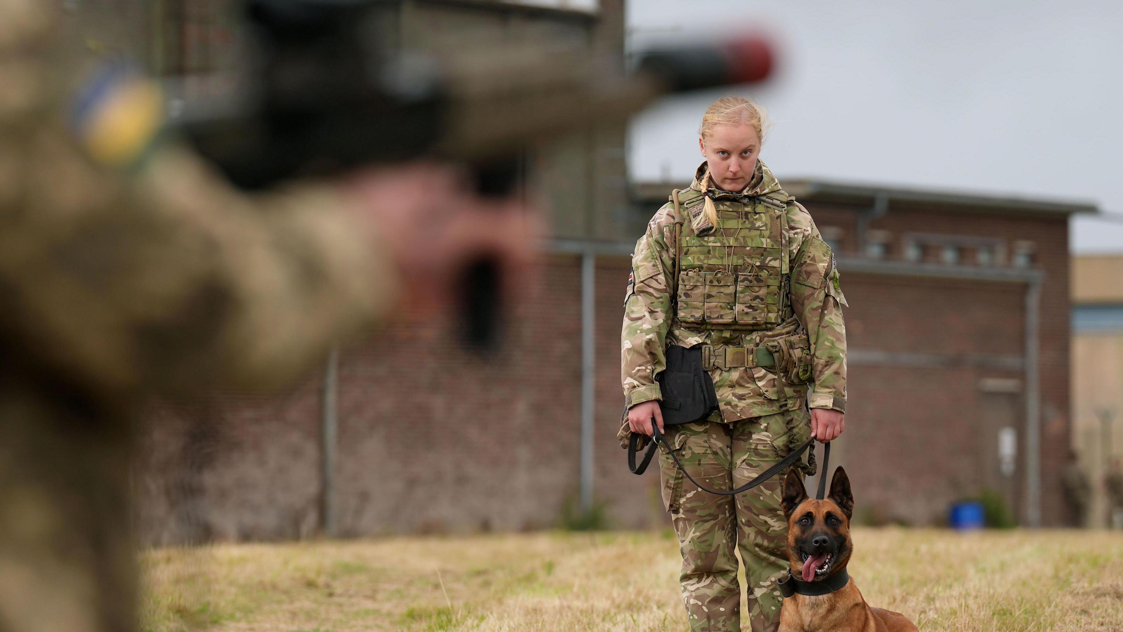 British Army dog handler Private Freya Brown with her military working dog Zac during a training session