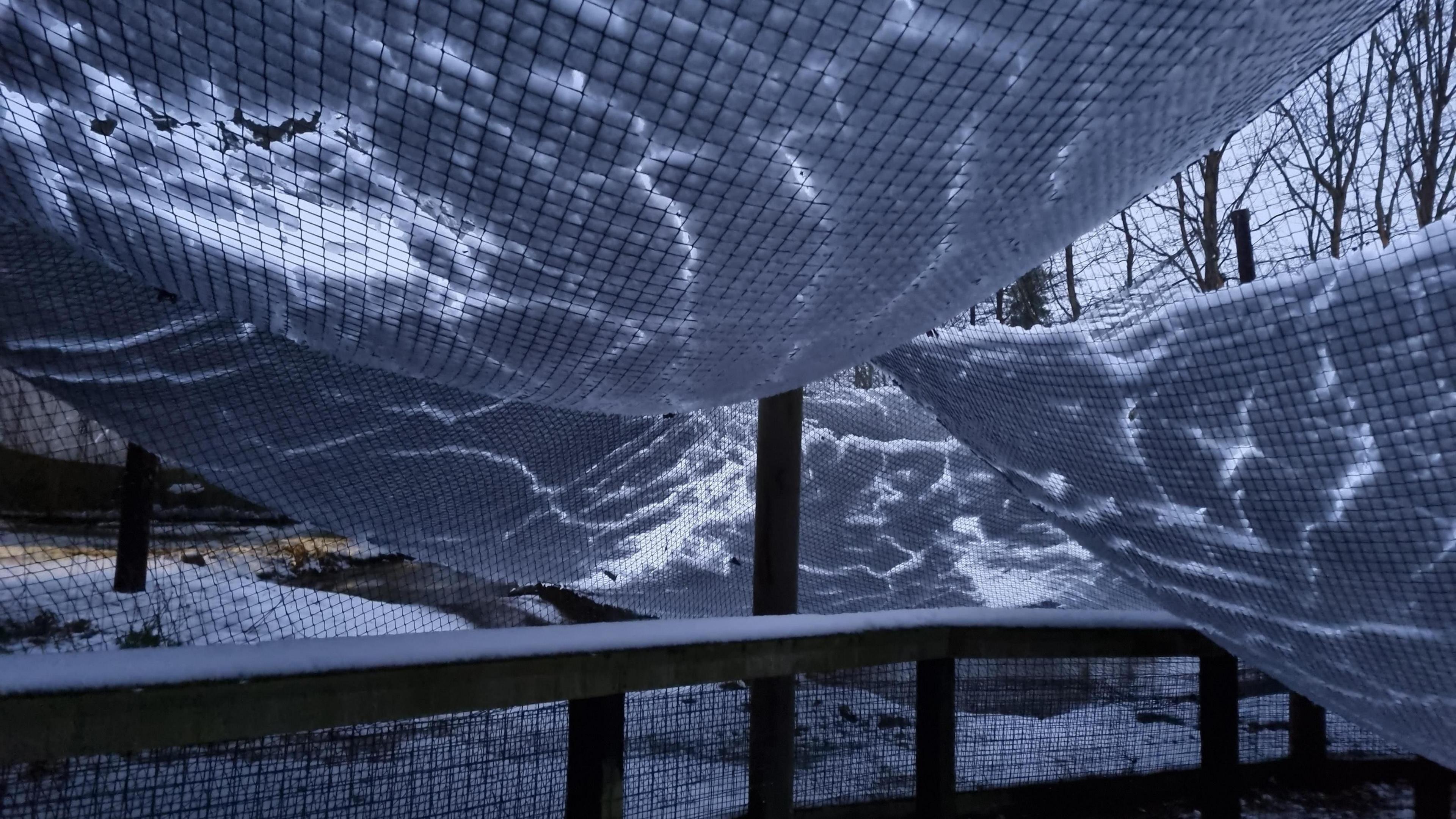 Snow covering nets at Lotherton's Wildlife World.