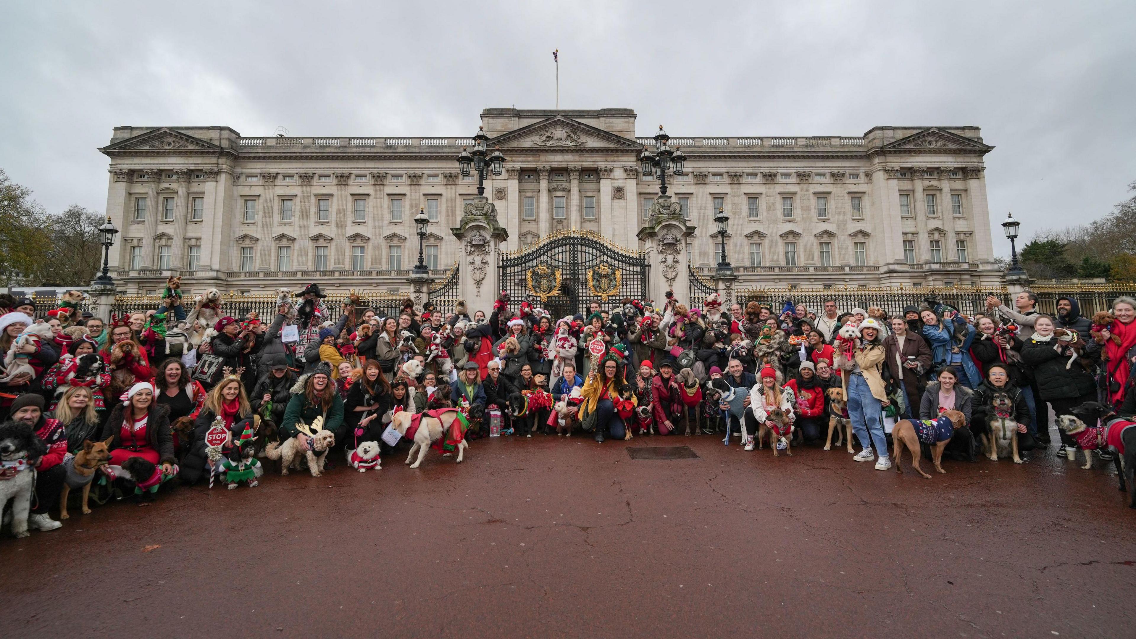 A row of people and their dogs in Christmas jumpers outside Buckingham Palace