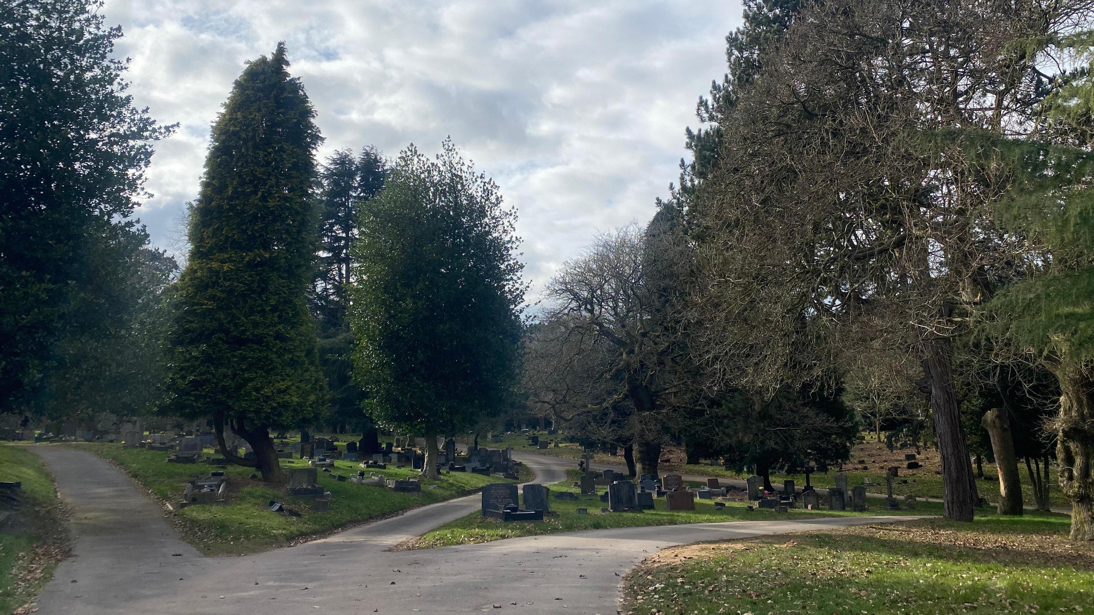 A cemetery scene with trees enveloping pathways and grave stones set back from the edge of the paths