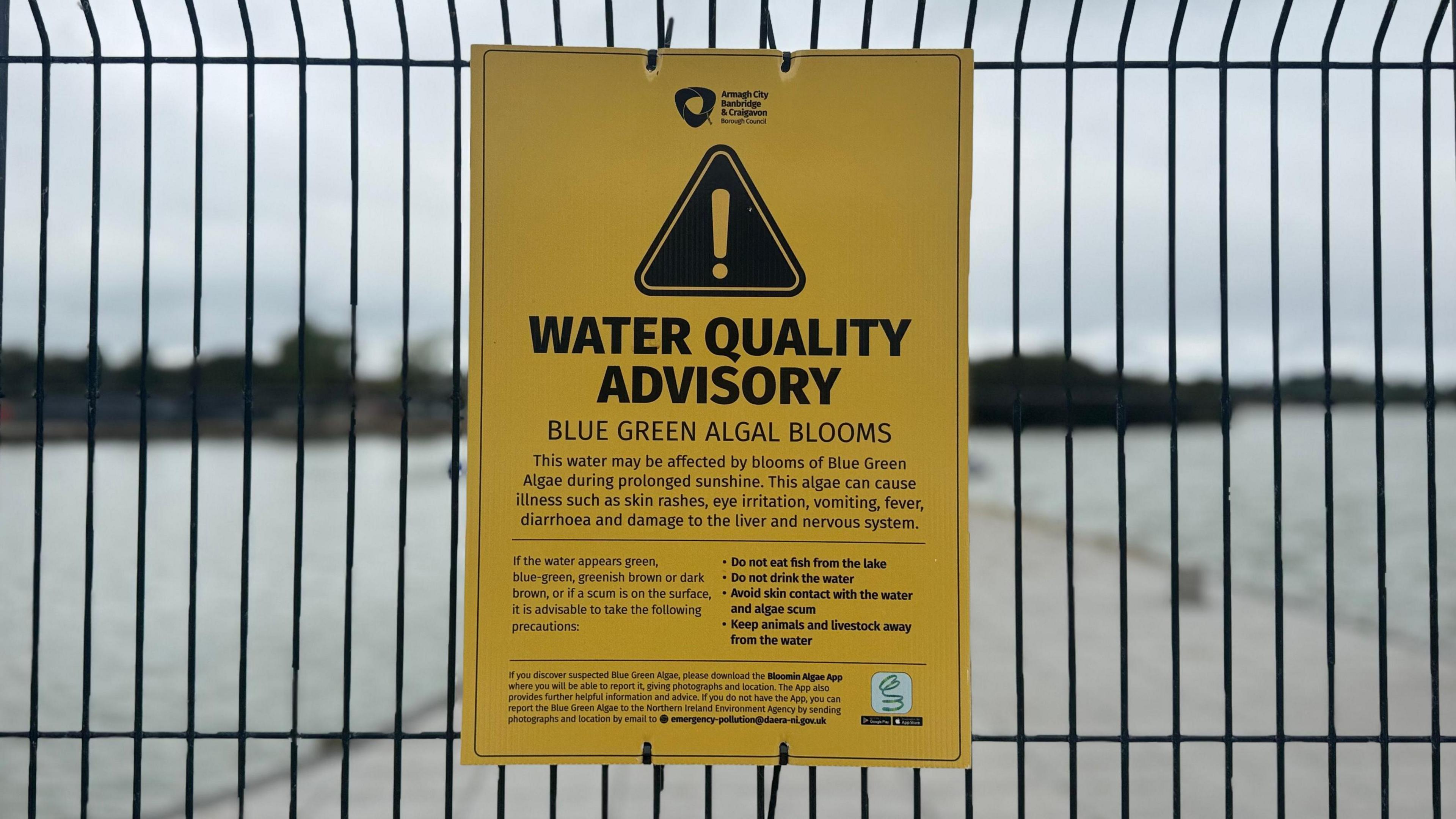 A yellow warning sign has been attached to a black fence. it reads: "Water quality advisory blue green algal blooms". 