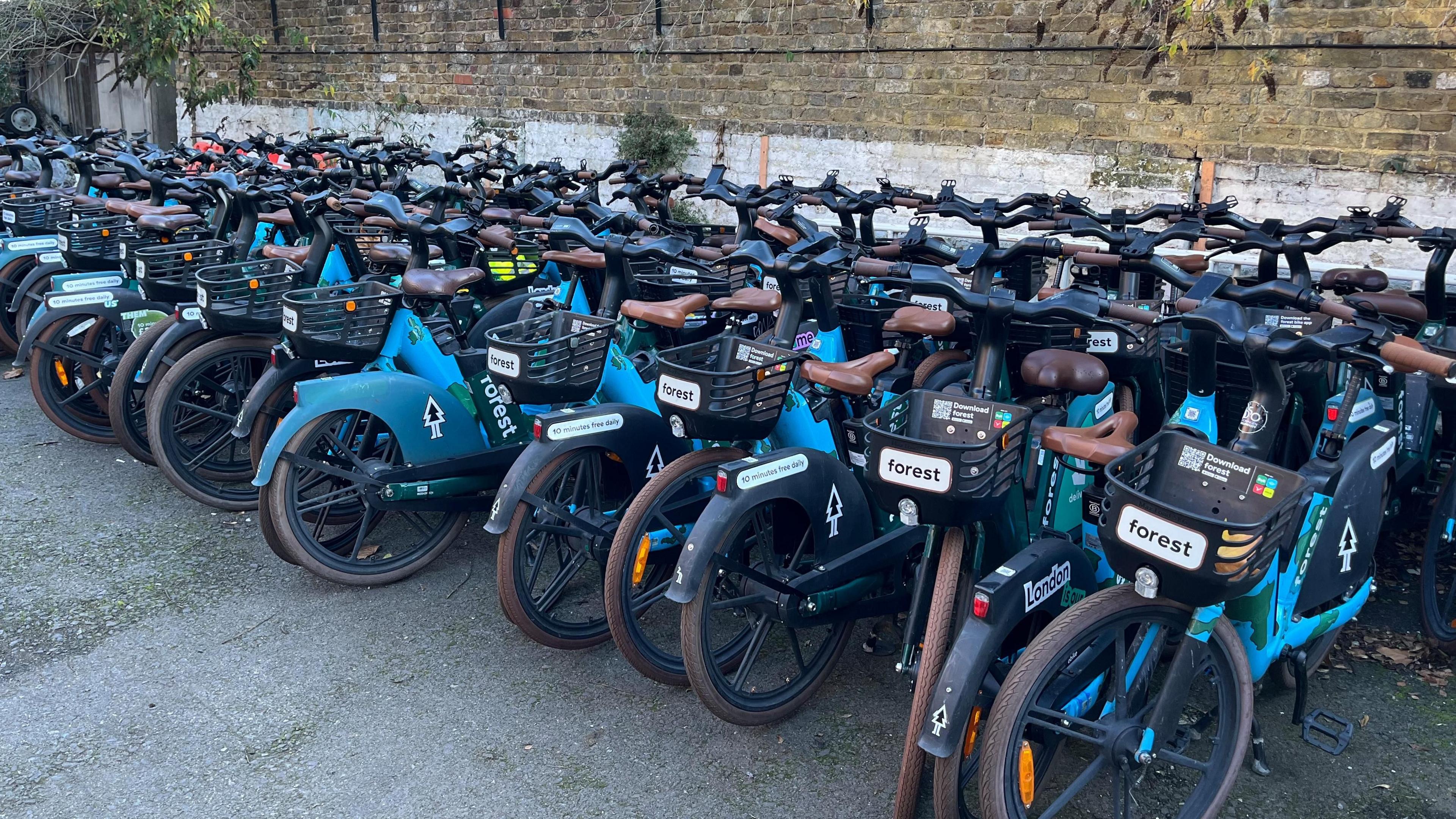 A long line of blue e-bikes are lined up next to a brick wall
