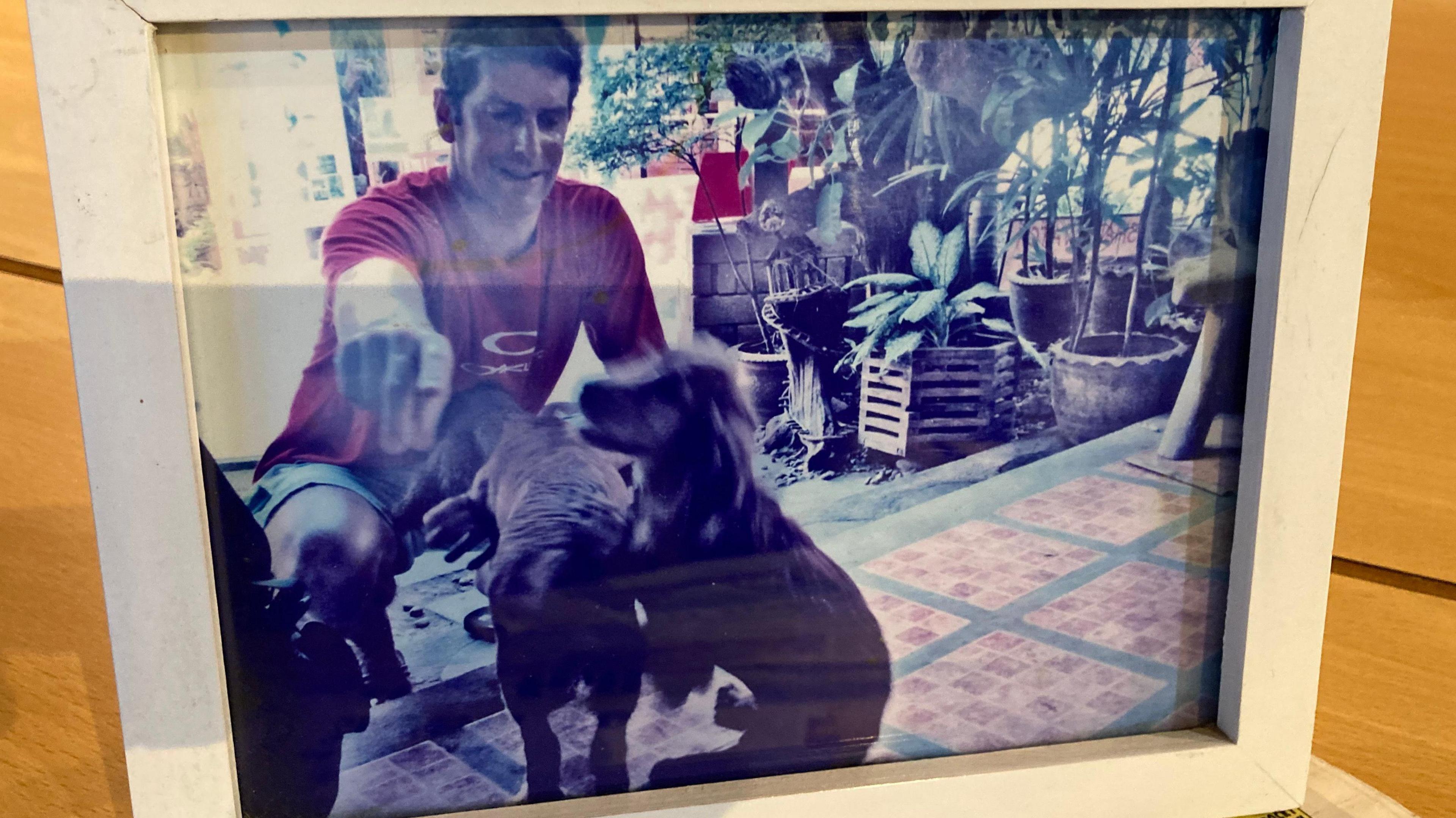 Piers Simon playing with two small dogs outside a cafe. The steps are tiled and there are lots of plants in pots outside the entrance. Piers is wearing a red Oakley T-shirt and blue surfing shorts. He is pointing towards the camera to try to get the dogs to look this way.