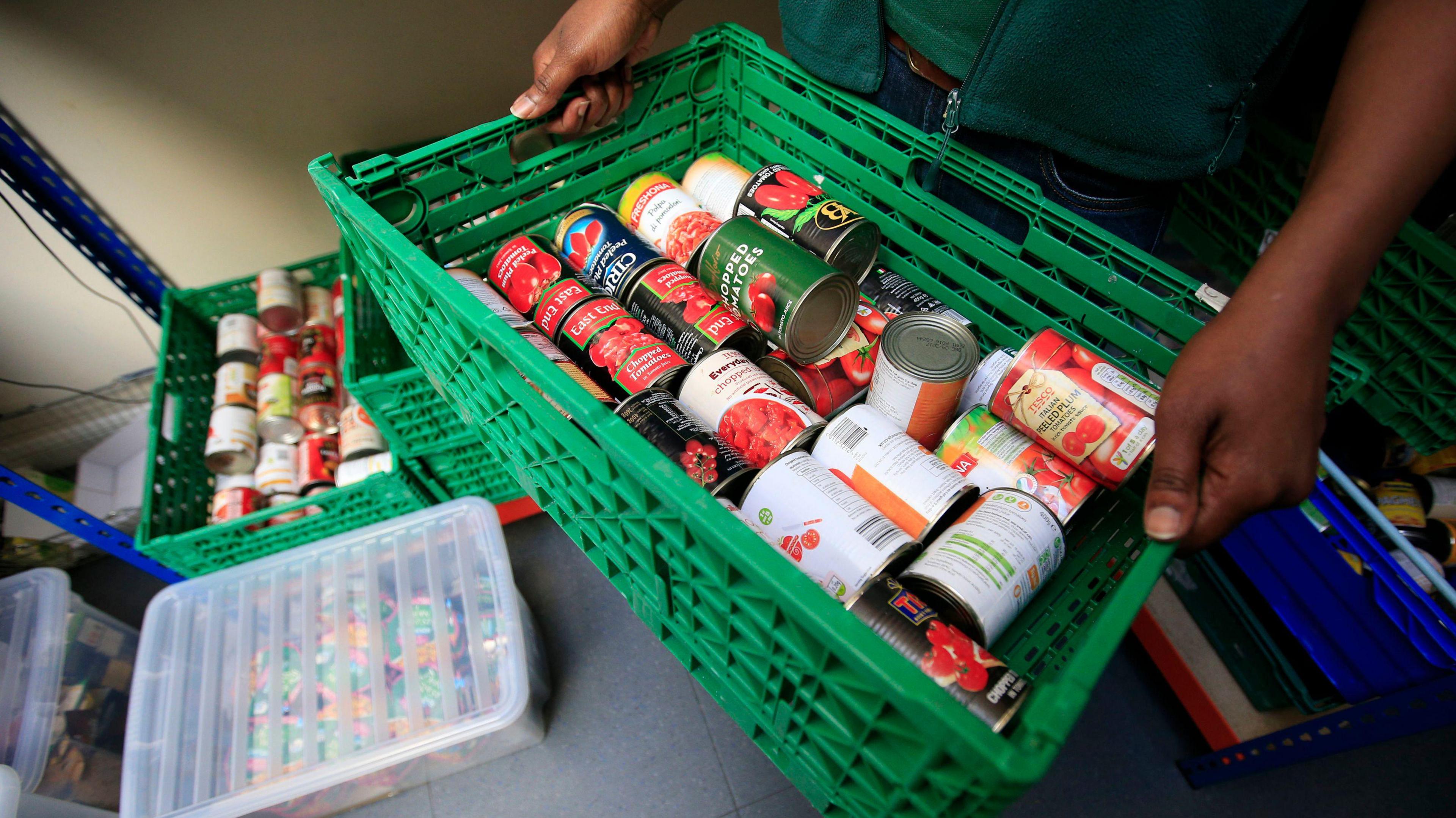 A pair of hands can be seen holding a green plastic crate full of different brands of tinned tomatoes. There are other crates of tins on the floor which are out of focus.