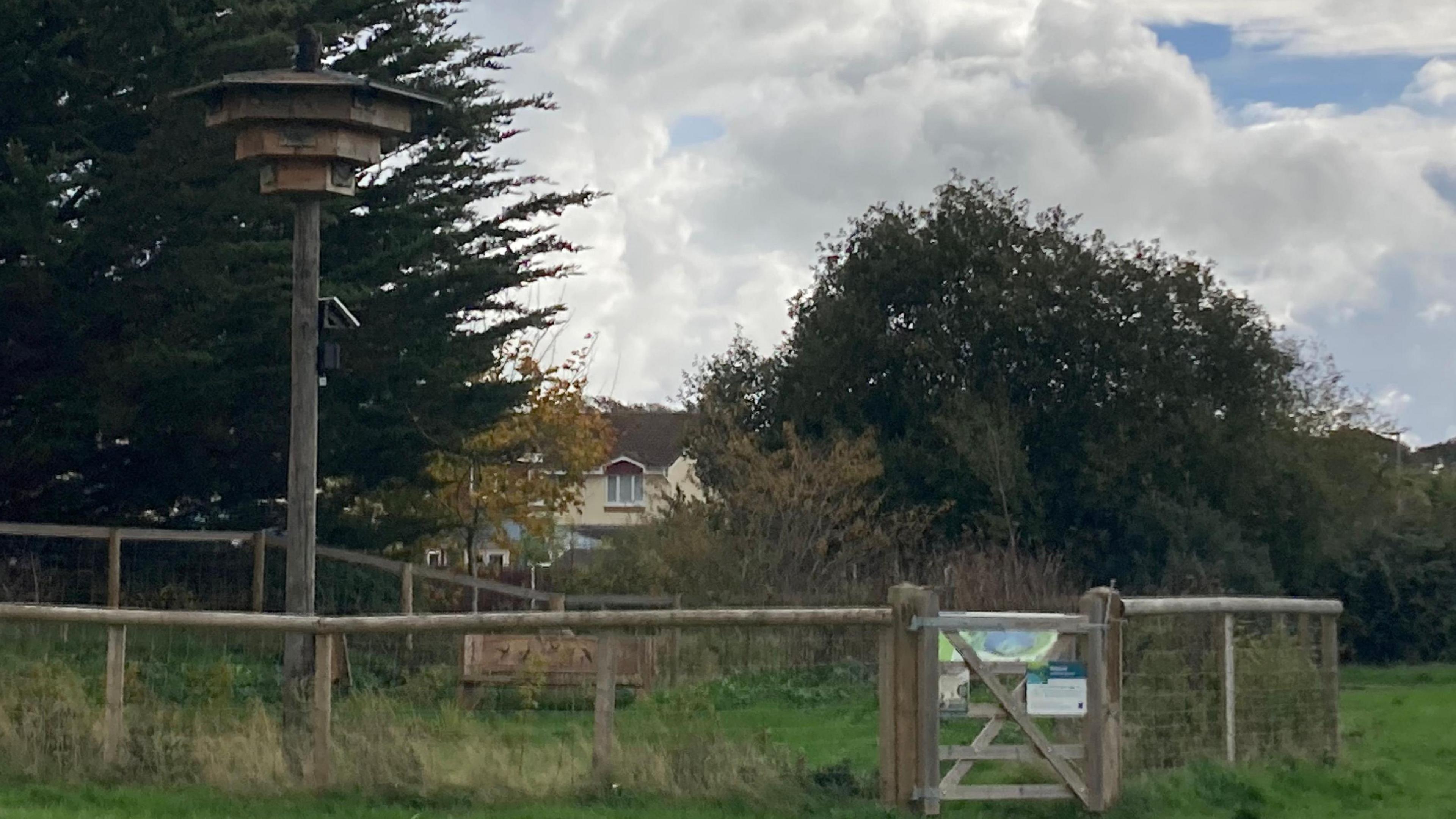 Picture shows a wooden tower with bird box at the top, and a wooden fence around a pond. There is a wooden bench for people to sit on