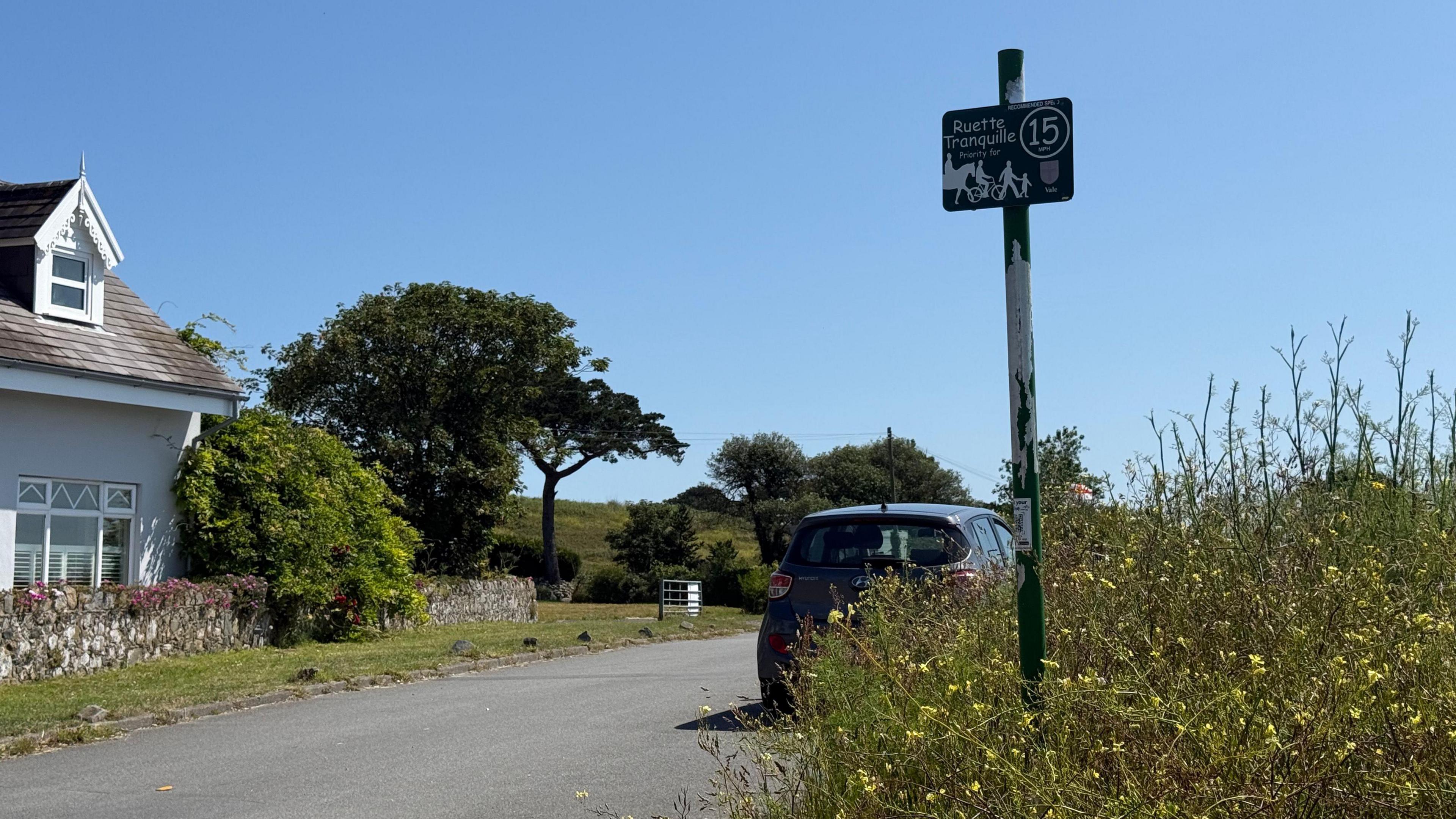 A wild flower bush is seen with a thin green sign protruding from its centre. The sign reads Ruette Tranquilles and has images of pedestrians, horses and cyclists. A car is seen driving down the road with a house to the left. 
