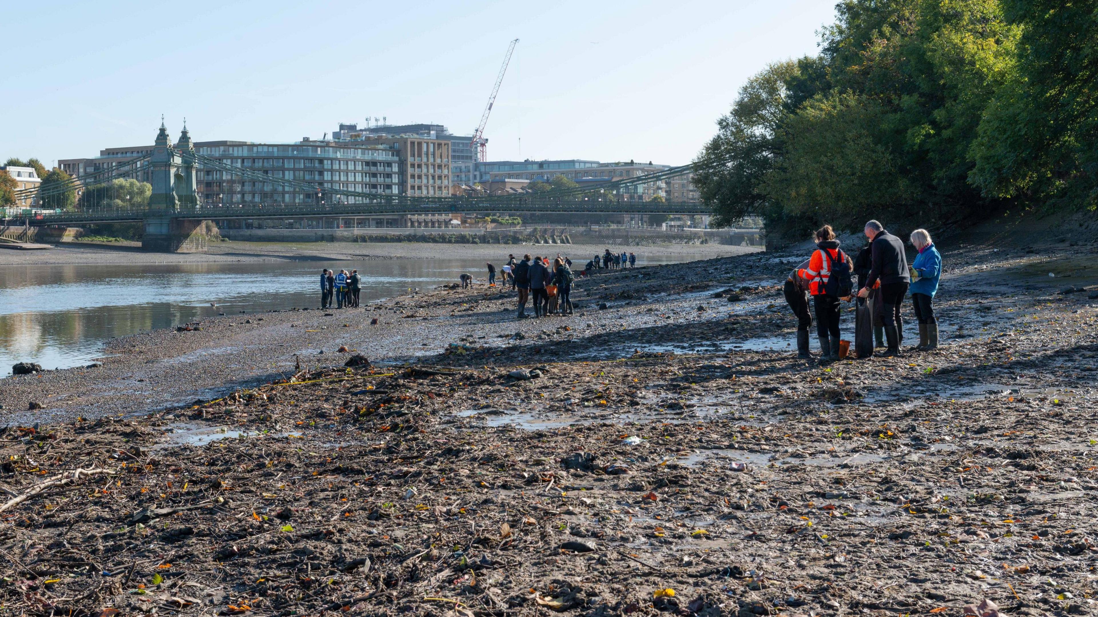A group of people are inspecting and gathering on a mucky, muddy riverbank, with trees lining one side. In the background, you can see city buildings, a crane, and a bridge stretching across the river.