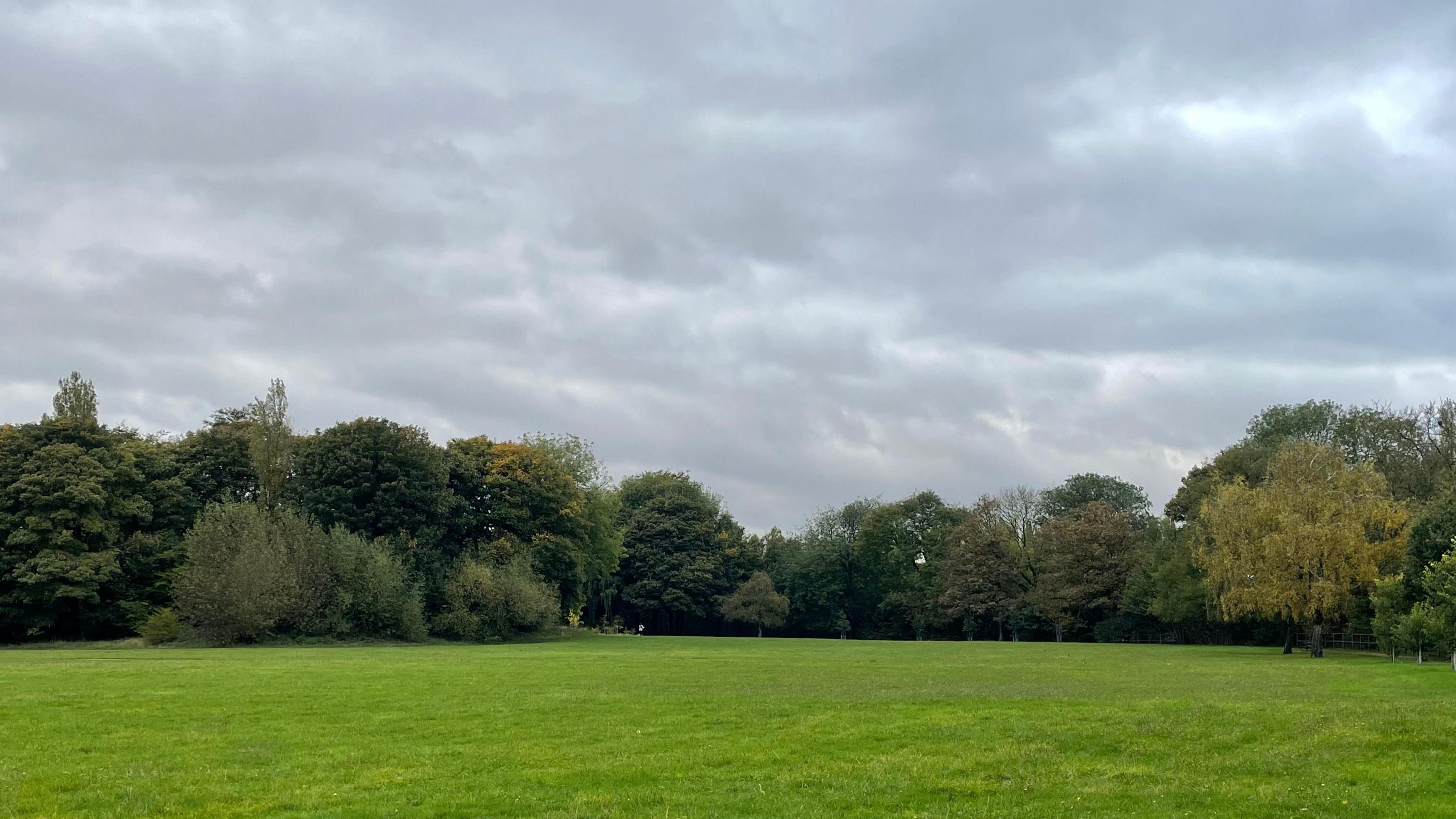 A park with green grass and an area of large, tall, green trees