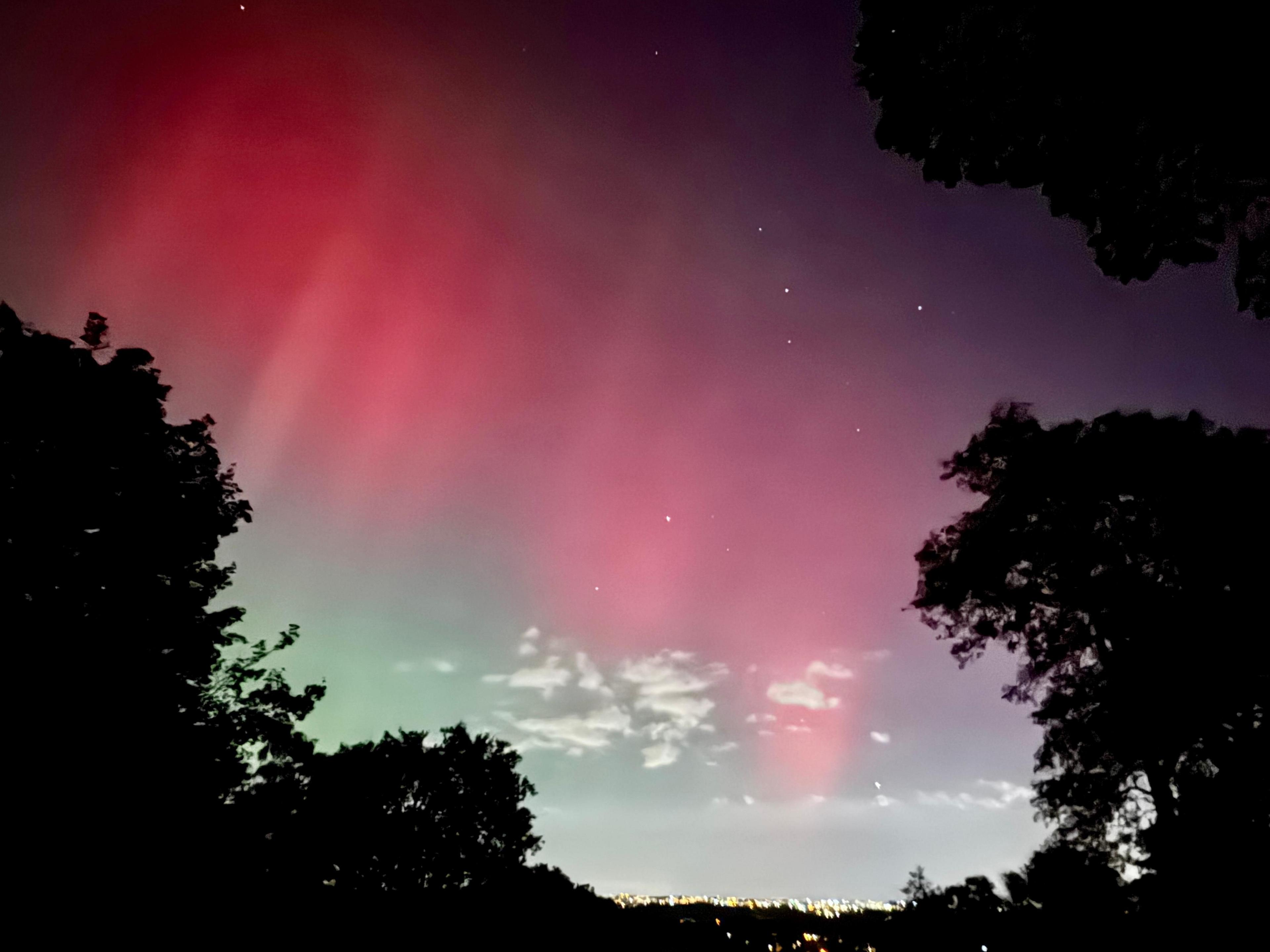 Streaks of red in the sky, with trees silhouetted against the sky