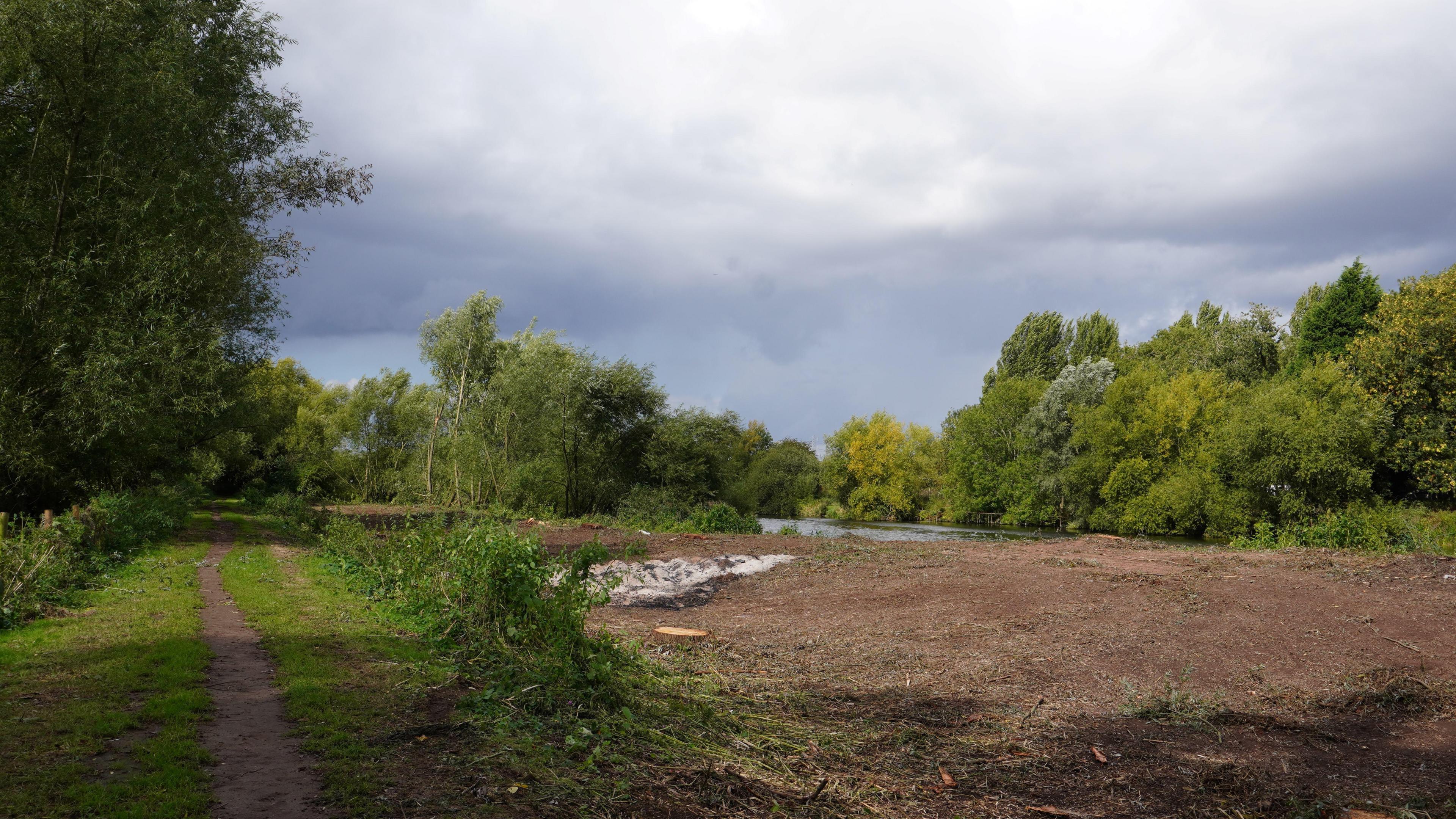 A patch of earth where trees used to be. Other trees and a body of water can be seen in the background
