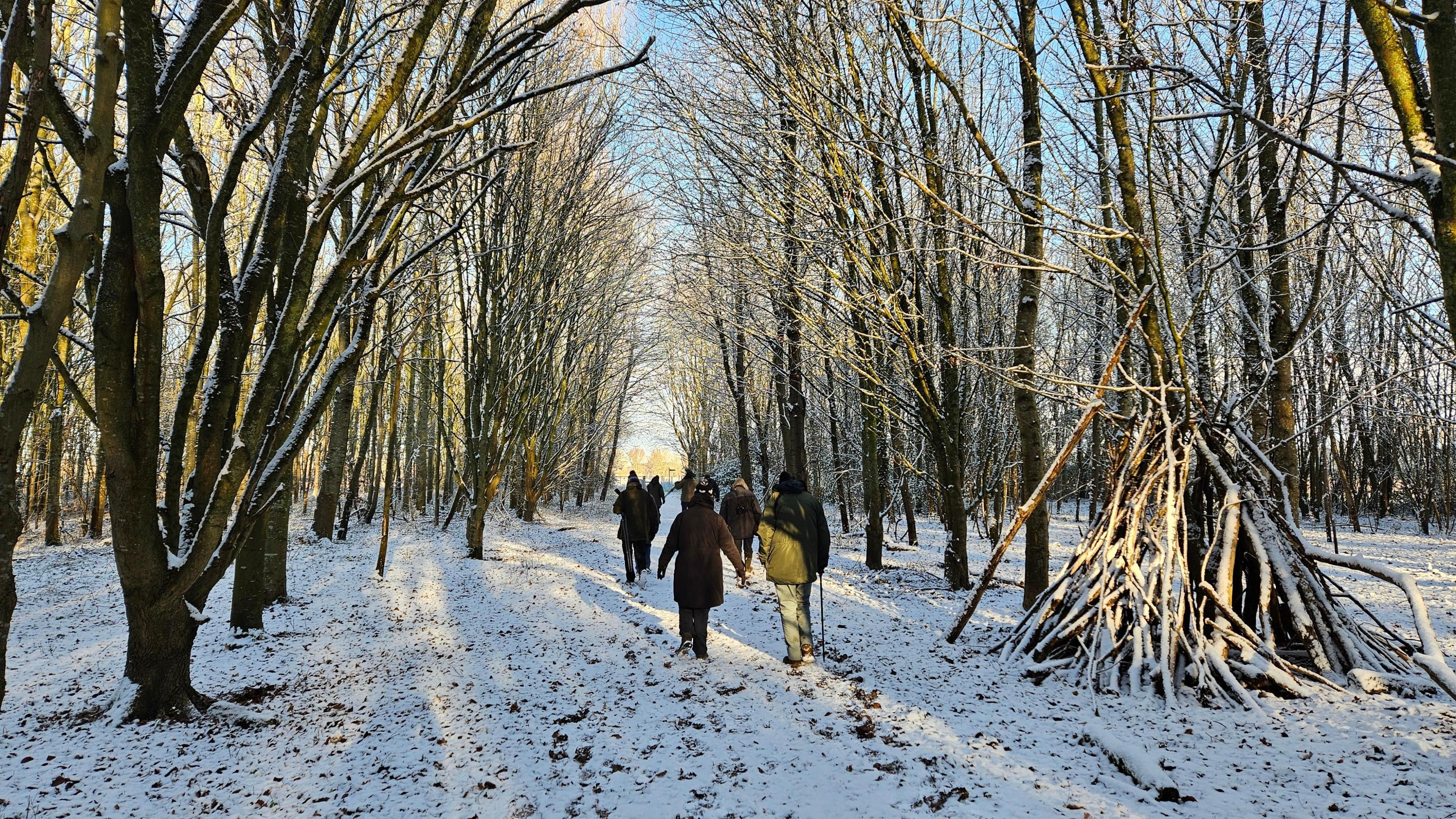 People walk along a snow-covered path in the woods
