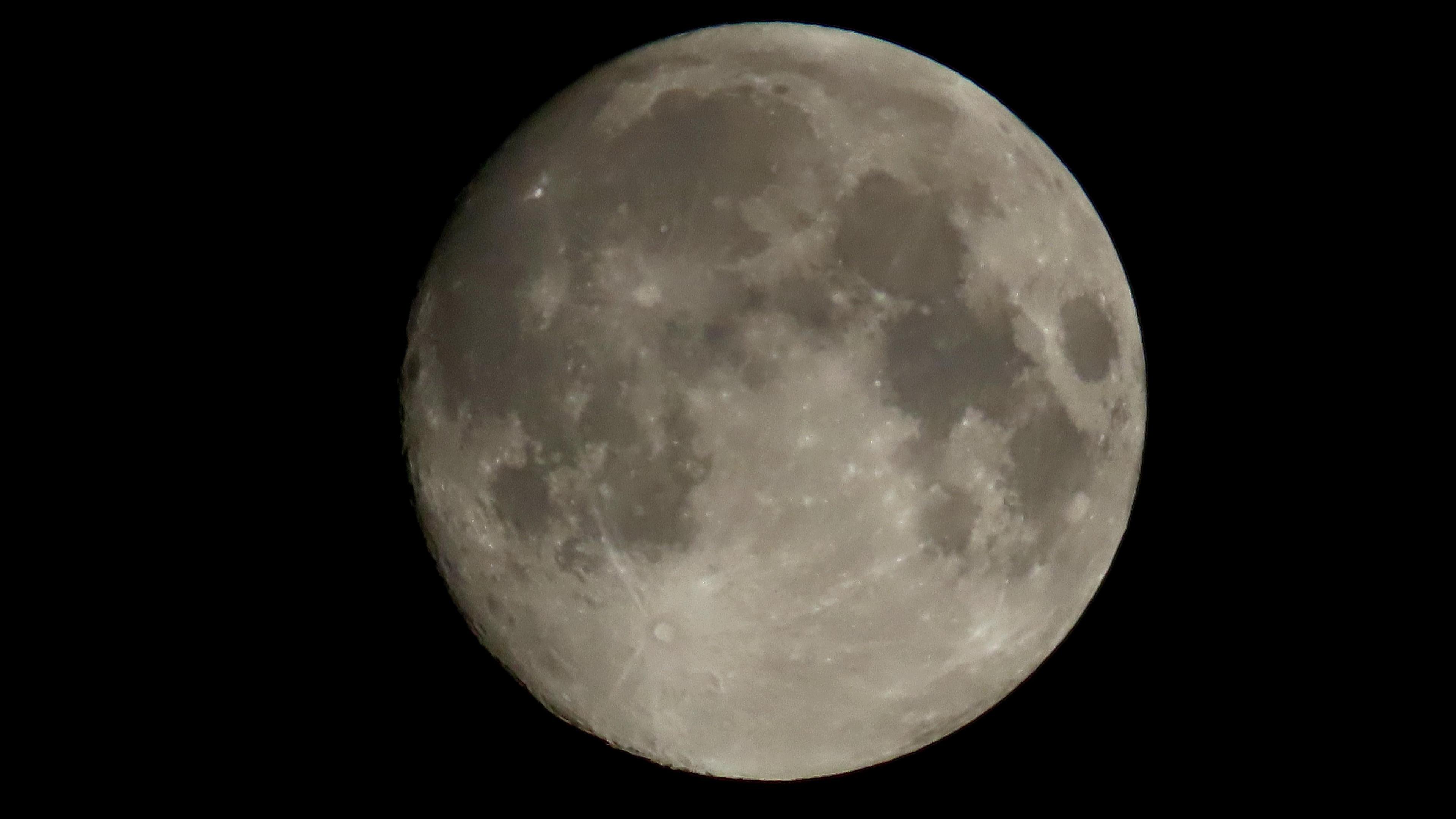 A detailed image of the supermoon set against a black sky.