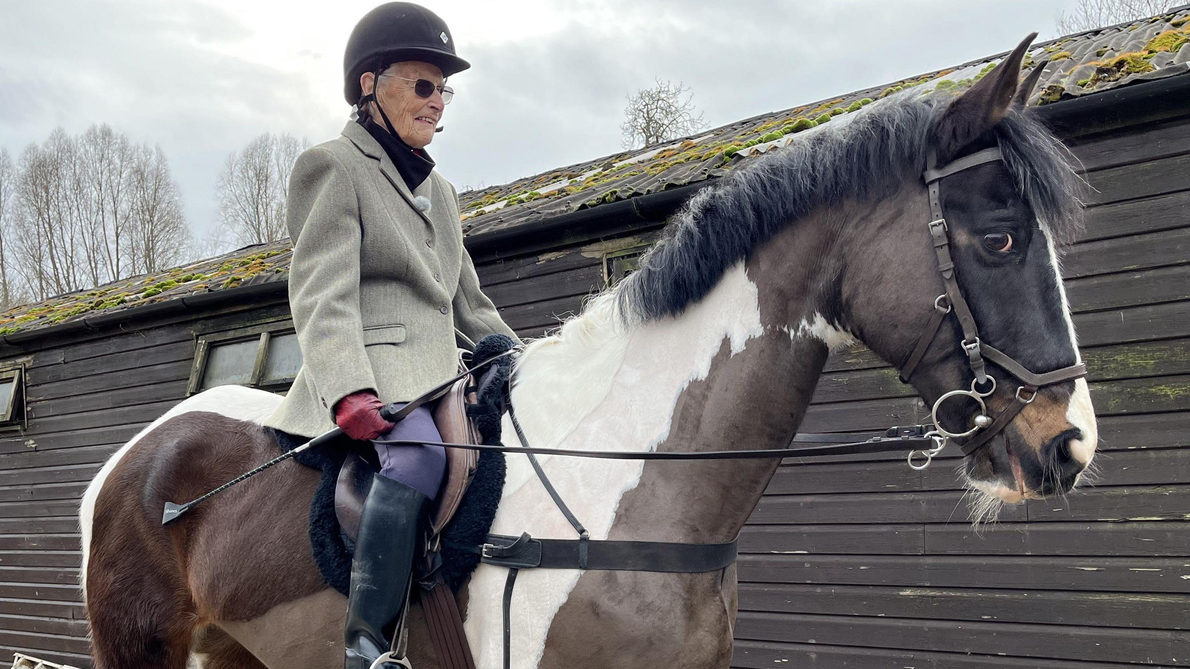 An elderly lady is riding a brown, black and white horse. The rider is wearing a riding hat, a tweed jacket, red gloves, blue trousers, black riding boots and tinted glasses. The horse is stood still in front of a wooden shed with corrugated metal roof that has a large amount of moss on it. 