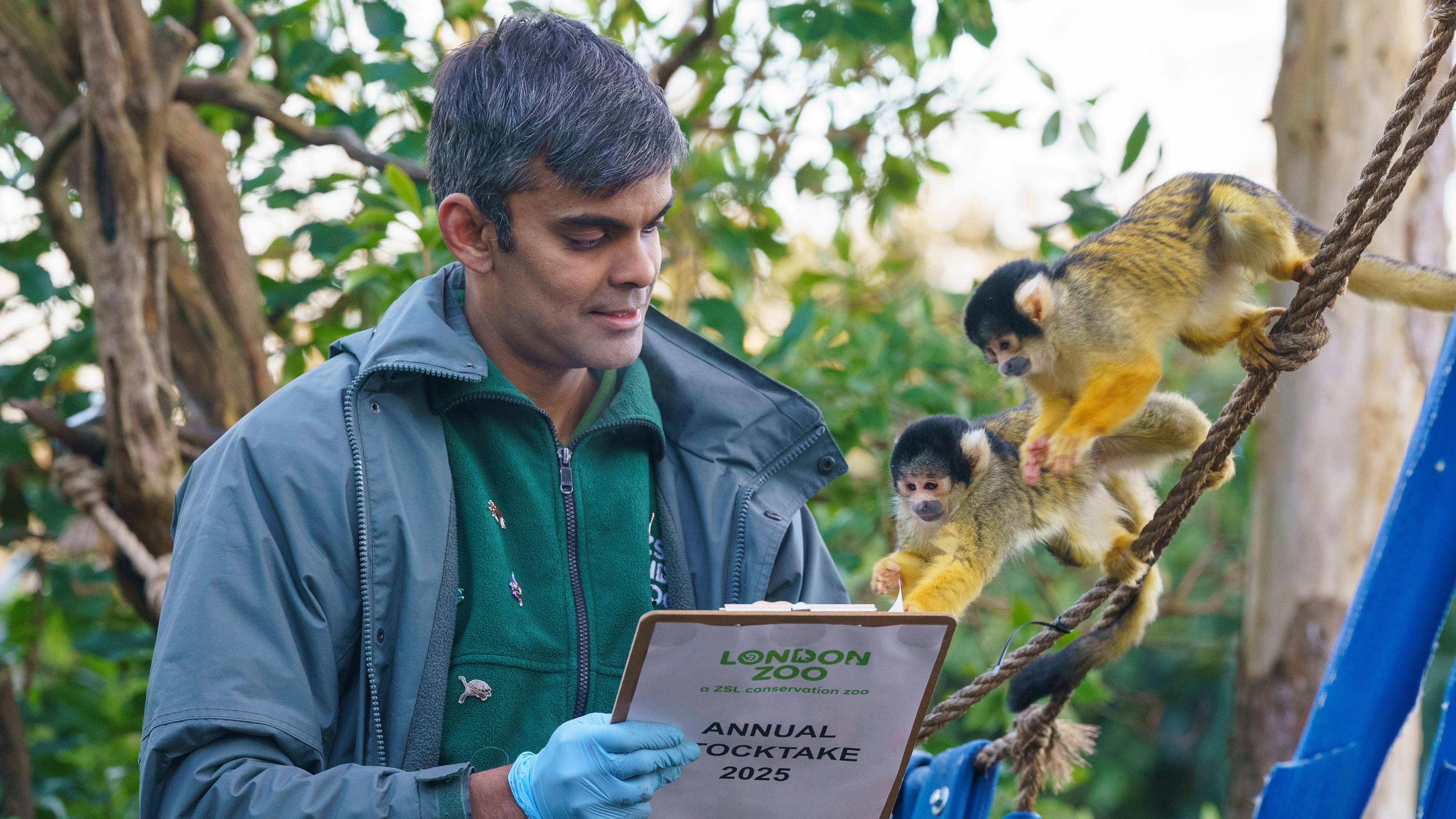 Bolivian black-capped squirrel monkeys at the annual stocktake 2025 at London zoo