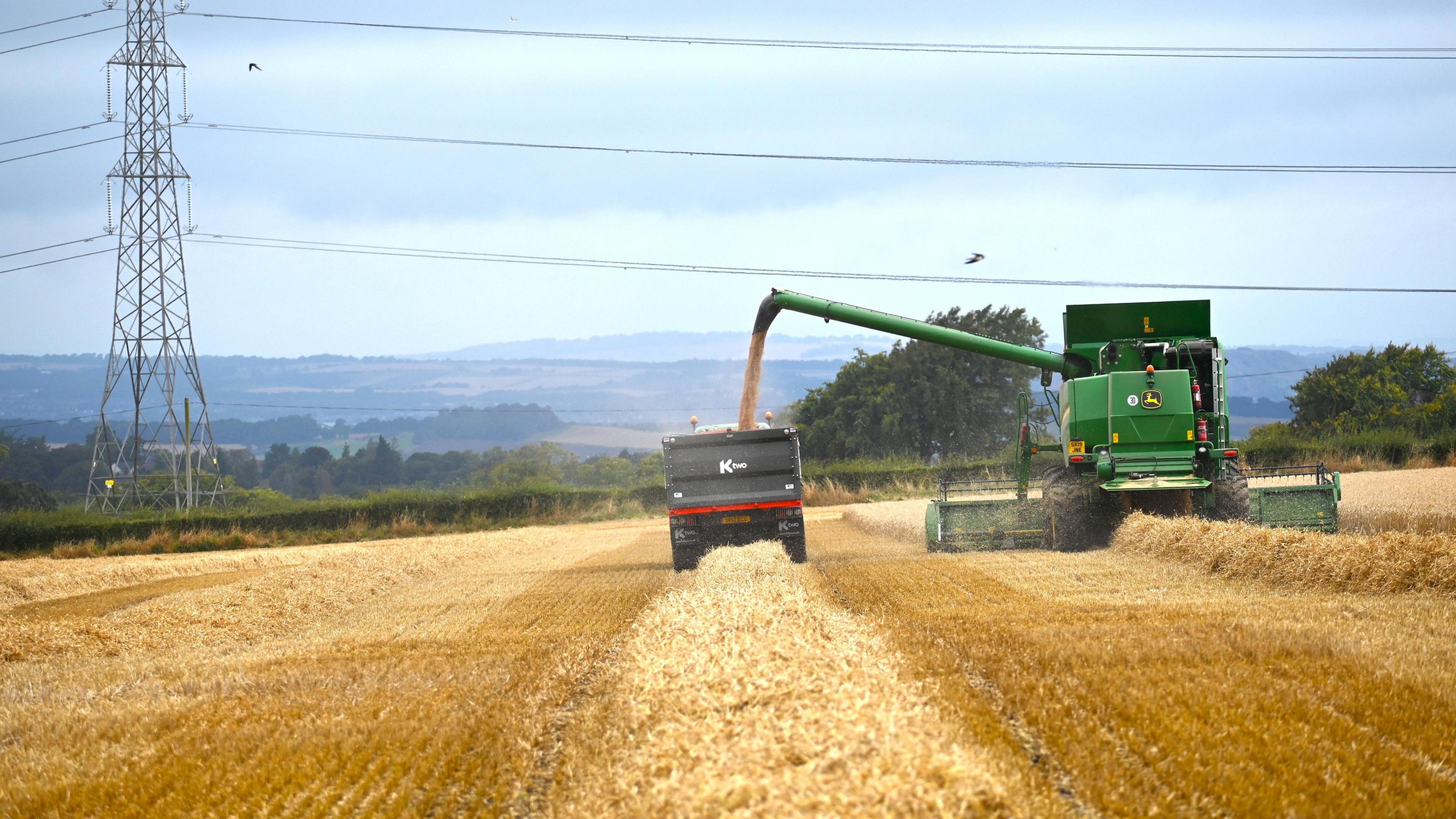 Harvesters plough through a field. The Combine is feeding grain into a lorry which keeps pace alongside it.