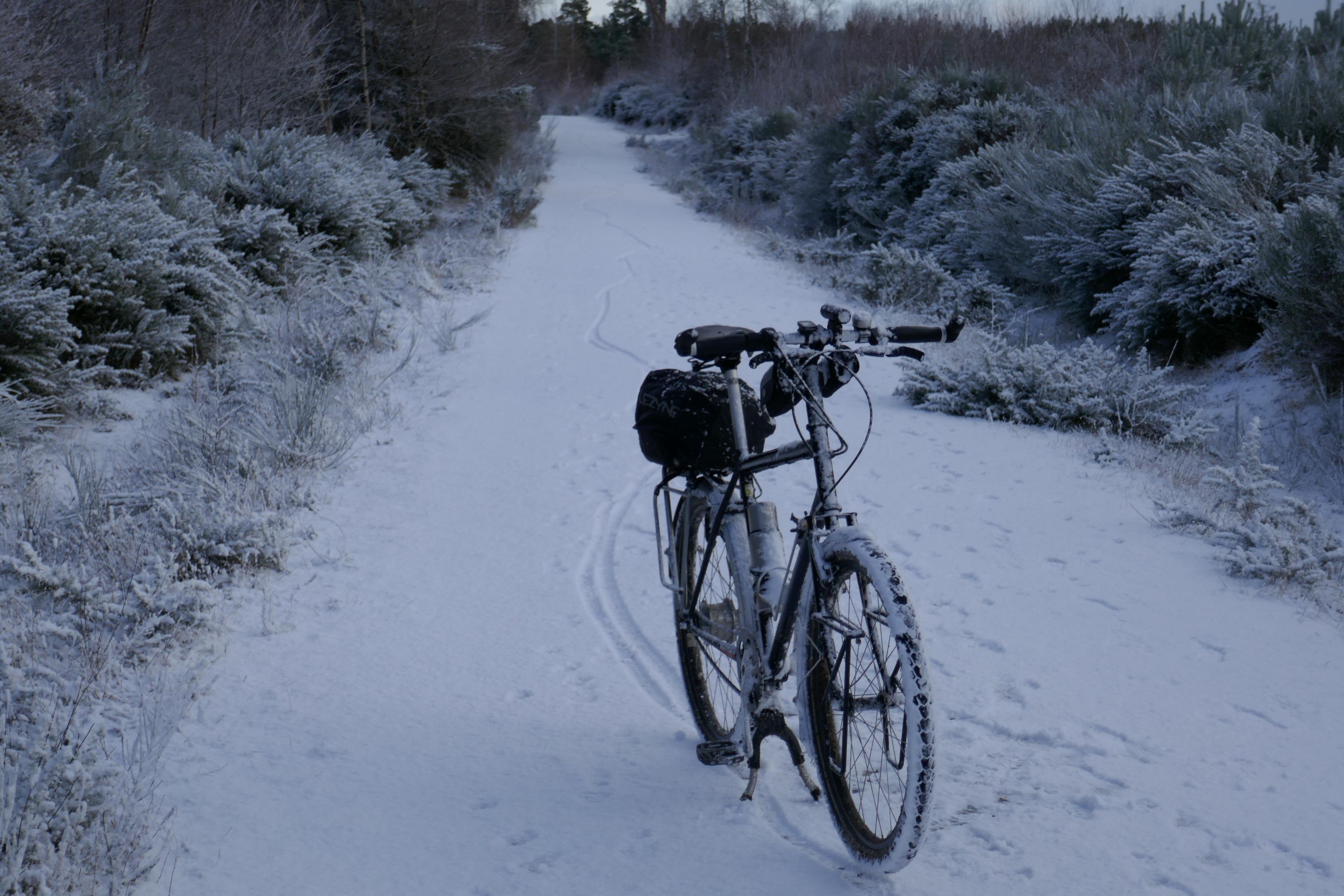 A bicycle on its stand on a snow-lined lane with a dusting of snow on the trees beside the lane