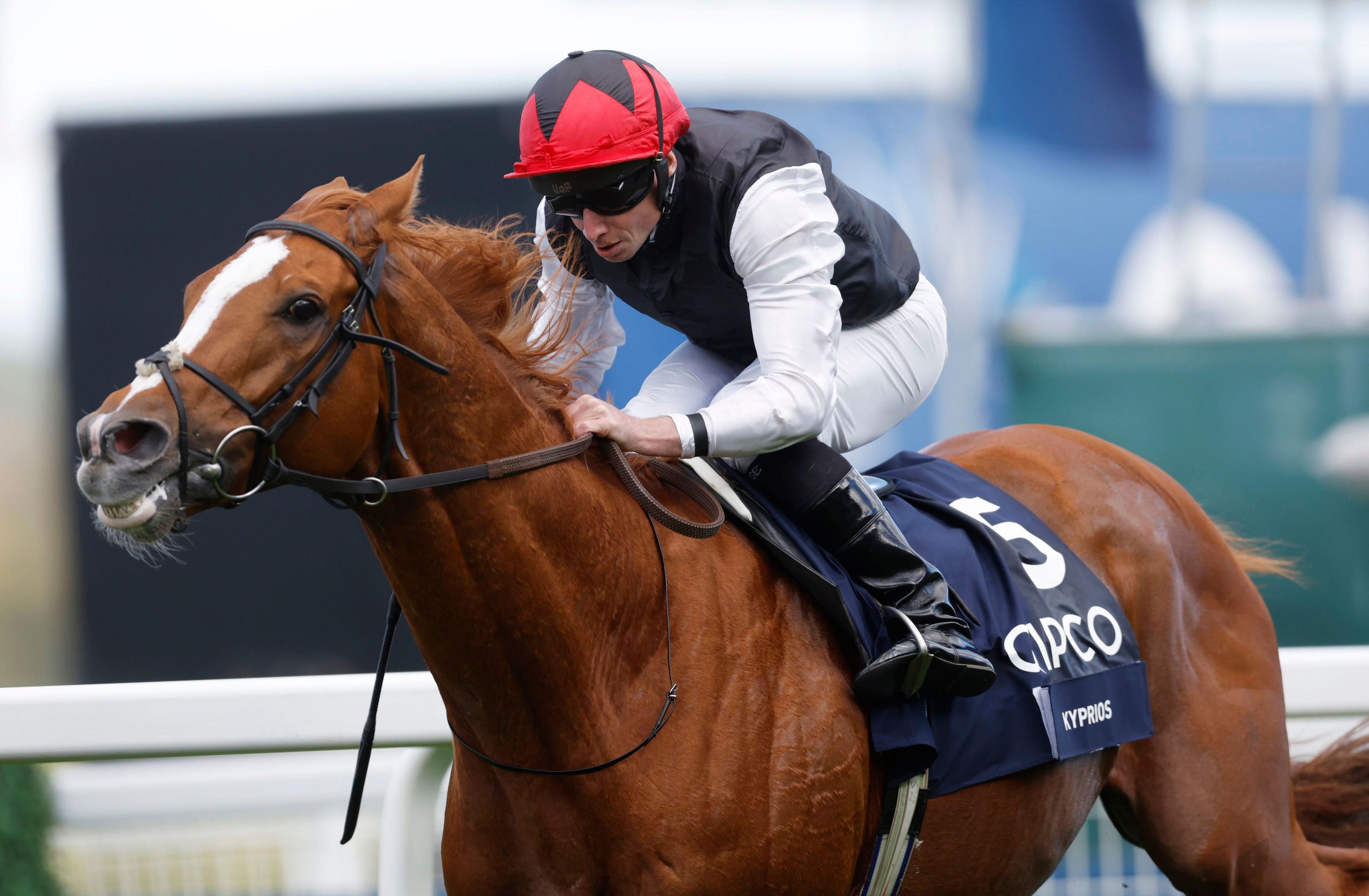 Kyprios and jockey Ryan Moore at Ascot